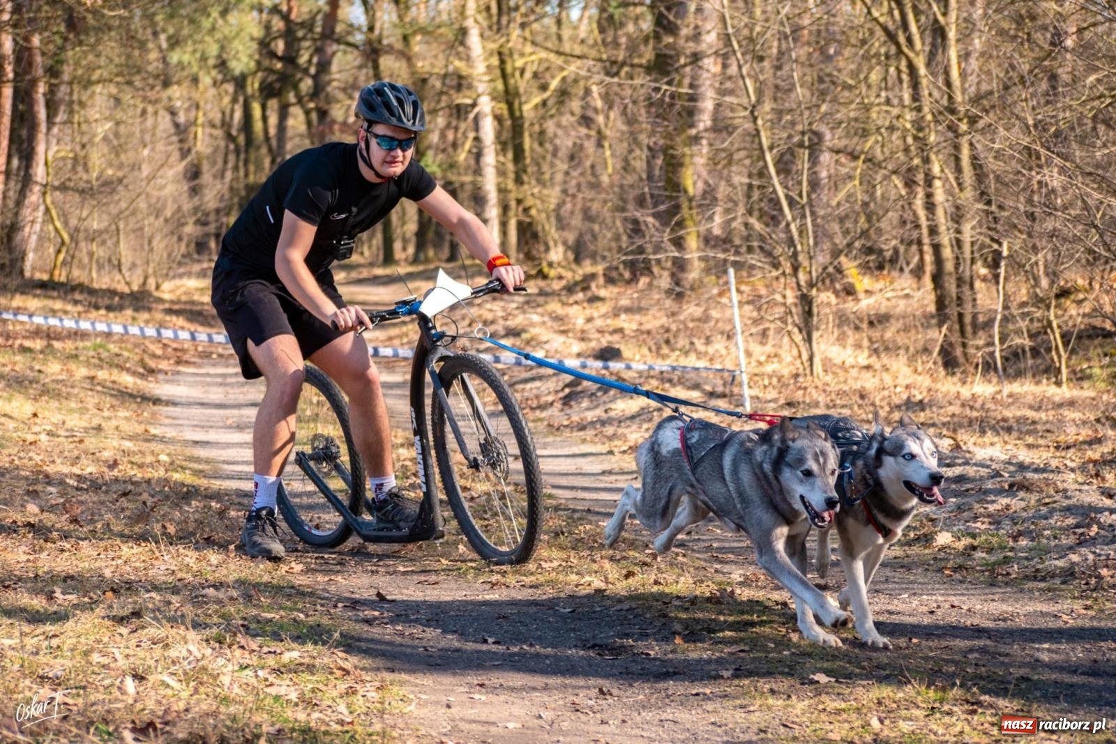 Zdjęcie w galerii na portalu naszraciborz.pl: Dog Adventure Sprint Race w Kuźni Raciborskiej. Emocjonujący pierwszy dzień wyścigów psich zaprzęgów [FOTO] wiadomości z regionu