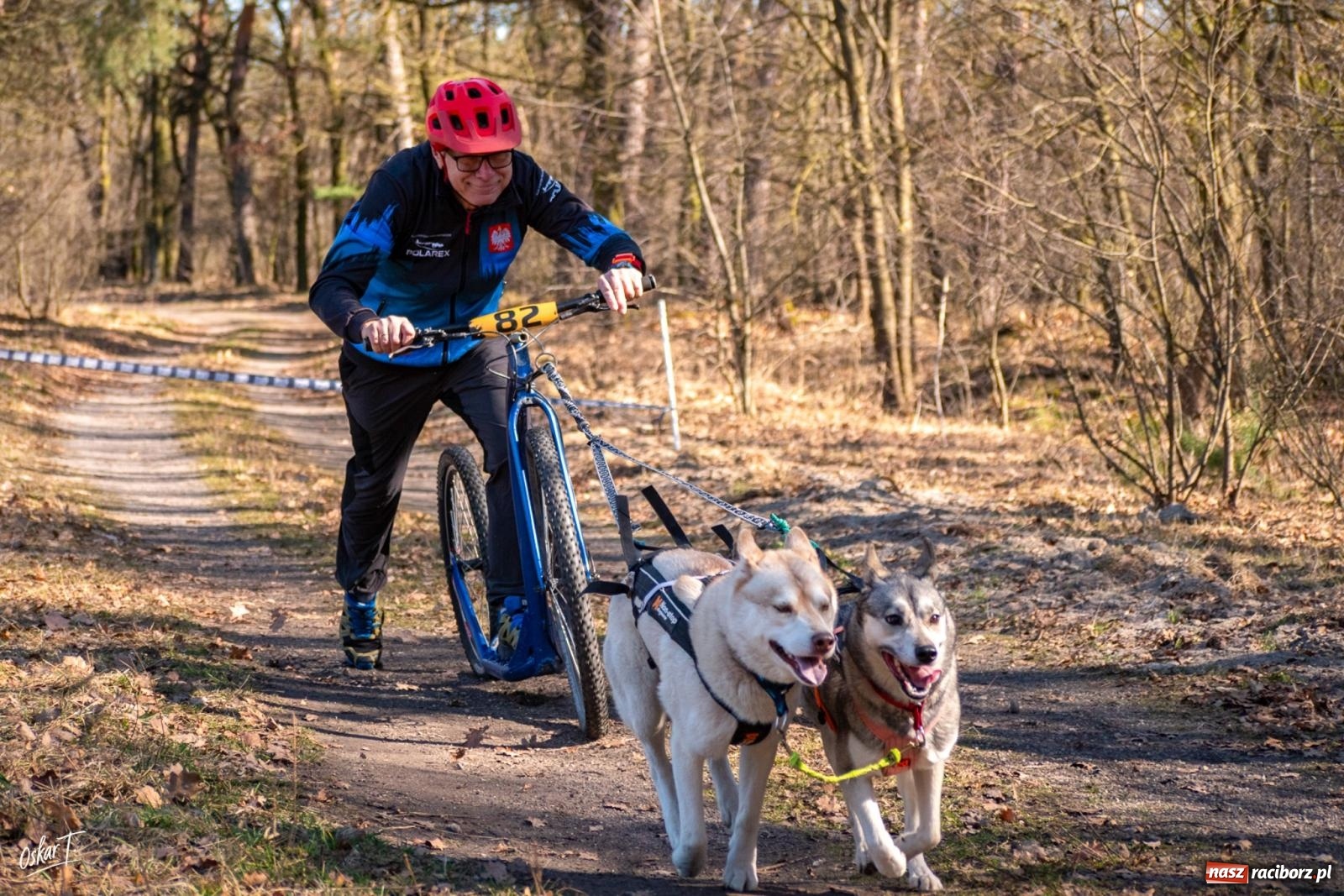 Zdjęcie w galerii na portalu naszraciborz.pl: Dog Adventure Sprint Race w Kuźni Raciborskiej. Emocjonujący pierwszy dzień wyścigów psich zaprzęgów [FOTO] wiadomości z regionu