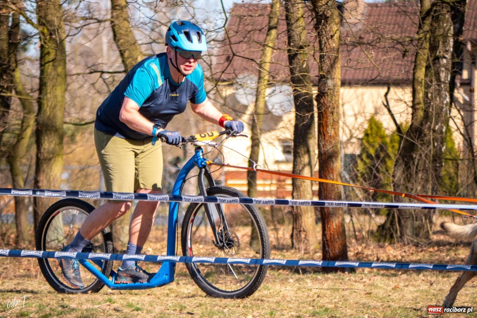 Zdjęcie w galerii na portalu naszraciborz.pl: Dog Adventure Sprint Race w Kuźni Raciborskiej. Emocjonujący pierwszy dzień wyścigów psich zaprzęgów [FOTO] wiadomości z regionu