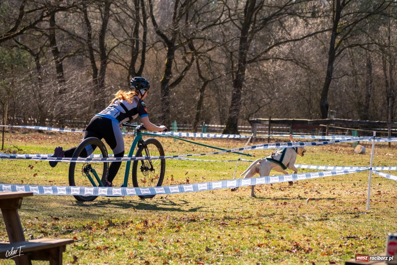Zdjęcie w galerii na portalu naszraciborz.pl: Dog Adventure Sprint Race w Kuźni Raciborskiej. Emocjonujący pierwszy dzień wyścigów psich zaprzęgów [FOTO] wiadomości z regionu
