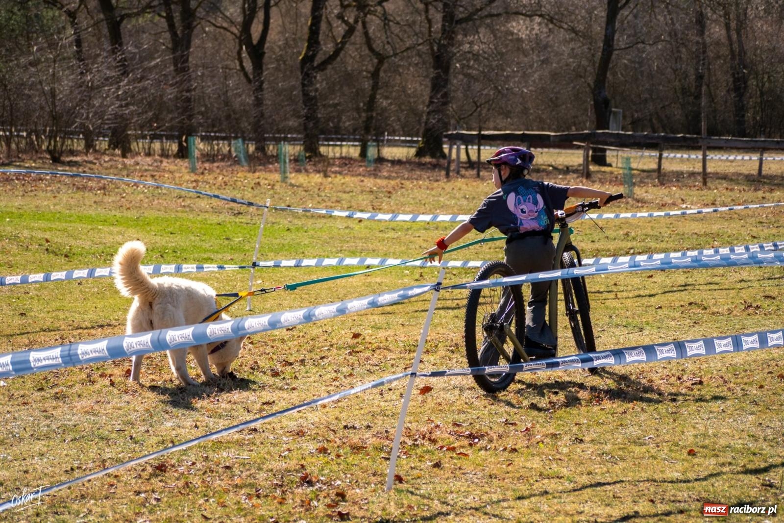 Zdjęcie w galerii na portalu naszraciborz.pl: Dog Adventure Sprint Race w Kuźni Raciborskiej. Emocjonujący pierwszy dzień wyścigów psich zaprzęgów [FOTO] wiadomości z regionu