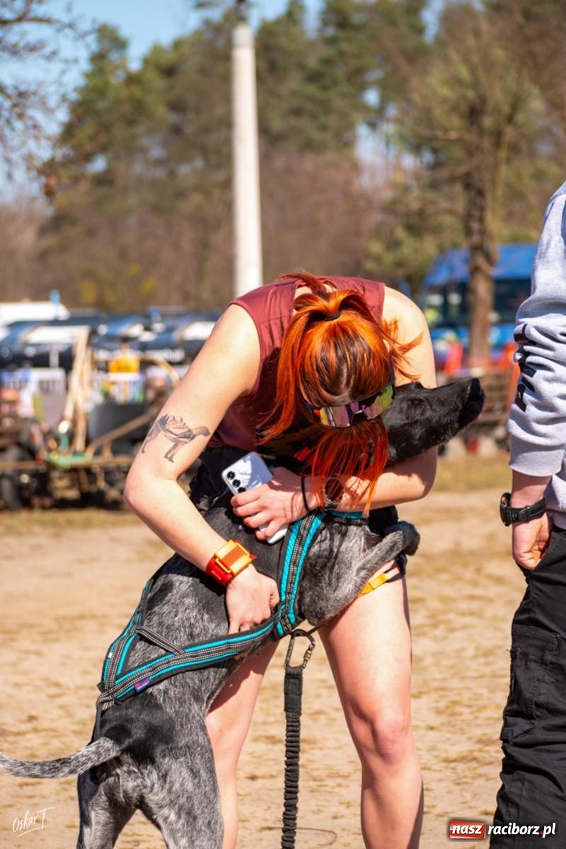 Zdjęcie w galerii na portalu naszraciborz.pl: Dog Adventure Sprint Race w Kuźni Raciborskiej. Emocjonujący pierwszy dzień wyścigów psich zaprzęgów [FOTO] wiadomości z regionu