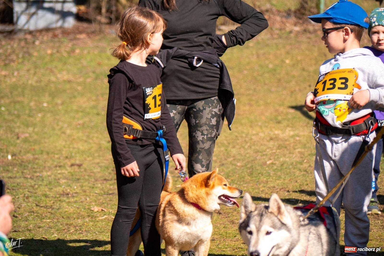 Zdjęcie w galerii na portalu naszraciborz.pl: Dog Adventure Sprint Race w Kuźni Raciborskiej. Emocjonujący pierwszy dzień wyścigów psich zaprzęgów [FOTO] wiadomości z regionu