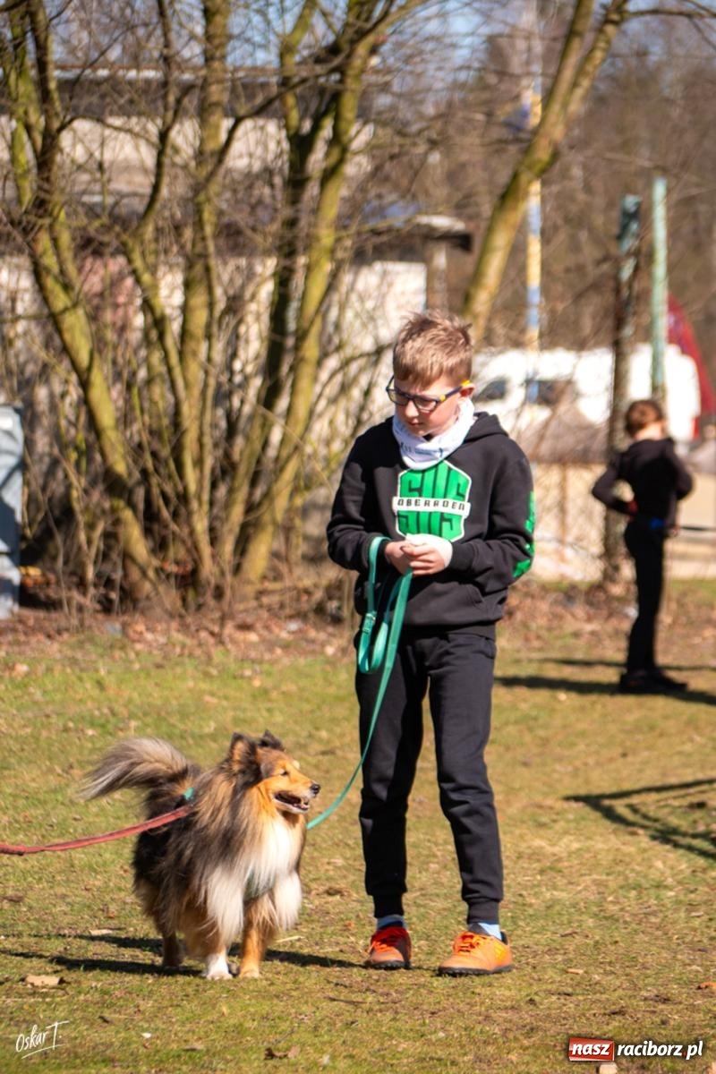Zdjęcie w galerii na portalu naszraciborz.pl: Dog Adventure Sprint Race w Kuźni Raciborskiej. Emocjonujący pierwszy dzień wyścigów psich zaprzęgów [FOTO] wiadomości z regionu
