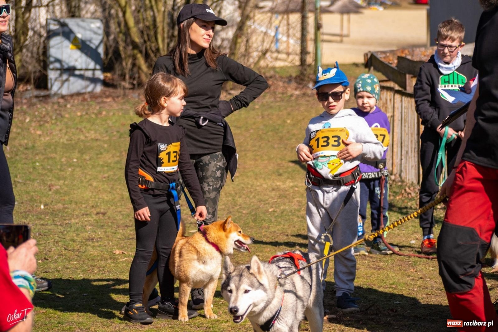 Zdjęcie w galerii na portalu naszraciborz.pl: Dog Adventure Sprint Race w Kuźni Raciborskiej. Emocjonujący pierwszy dzień wyścigów psich zaprzęgów [FOTO] wiadomości z regionu