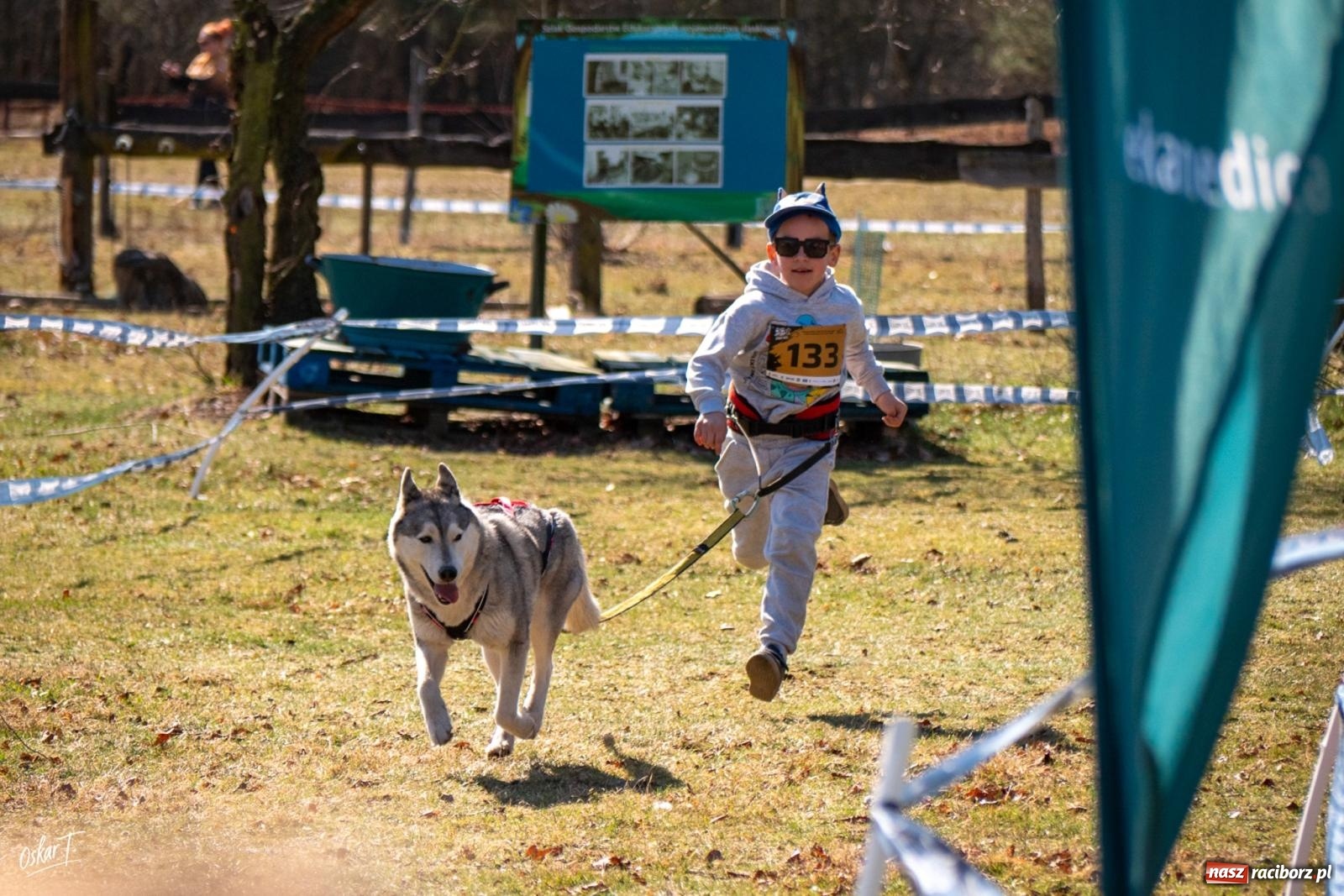 Zdjęcie w galerii na portalu naszraciborz.pl: Dog Adventure Sprint Race w Kuźni Raciborskiej. Emocjonujący pierwszy dzień wyścigów psich zaprzęgów [FOTO] wiadomości z regionu
