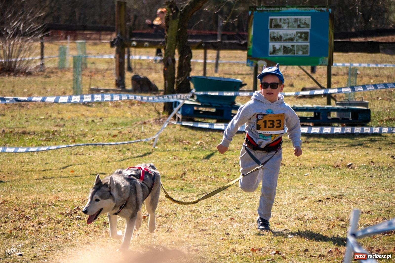 Zdjęcie w galerii na portalu naszraciborz.pl: Dog Adventure Sprint Race w Kuźni Raciborskiej. Emocjonujący pierwszy dzień wyścigów psich zaprzęgów [FOTO] wiadomości z regionu