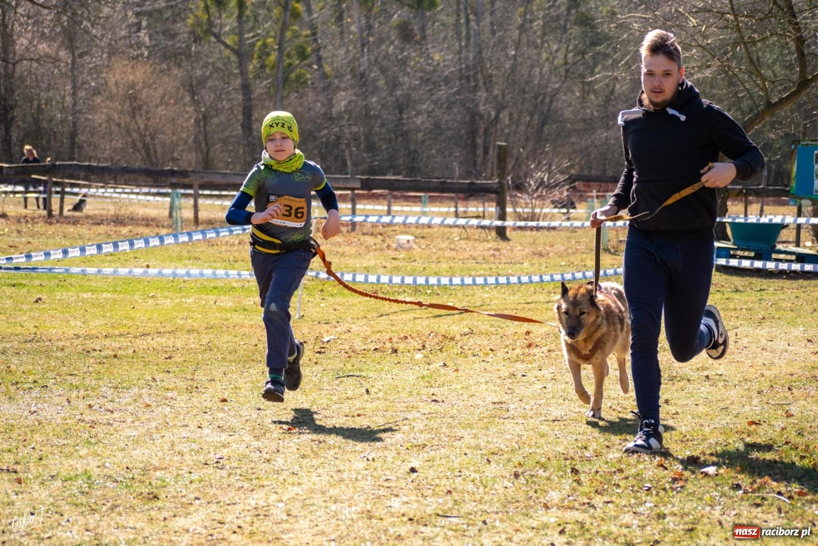 Zdjęcie w galerii na portalu naszraciborz.pl: Dog Adventure Sprint Race w Kuźni Raciborskiej. Emocjonujący pierwszy dzień wyścigów psich zaprzęgów [FOTO] wiadomości z regionu