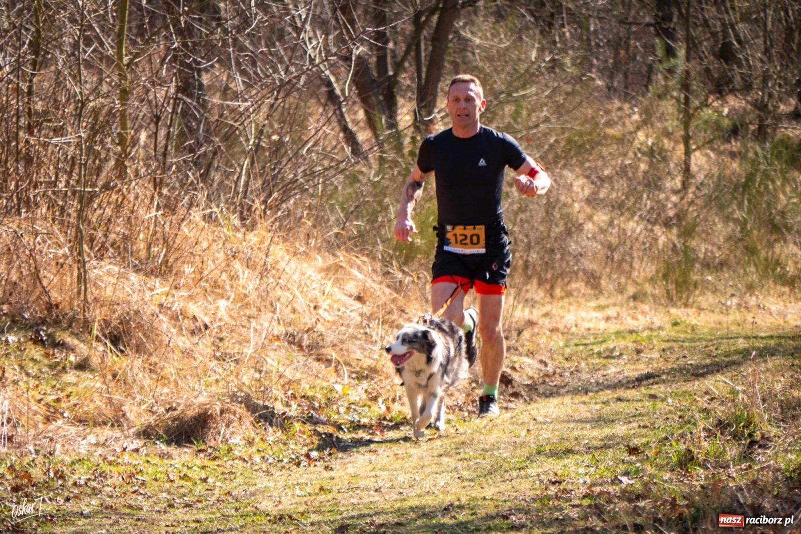 Zdjęcie w galerii na portalu naszraciborz.pl: Dog Adventure Sprint Race w Kuźni Raciborskiej. Emocjonujący pierwszy dzień wyścigów psich zaprzęgów [FOTO] wiadomości z regionu