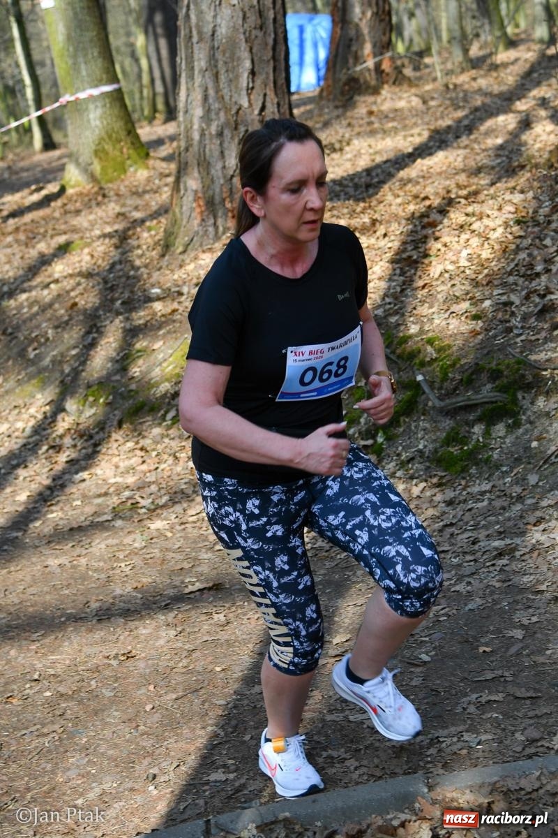 Zdjęcie w galerii na portalu naszraciborz.pl: Mateusz Wolnik zwycięzcą XIV Biegu Twardziela w Raciborzu wiadomości z regionu