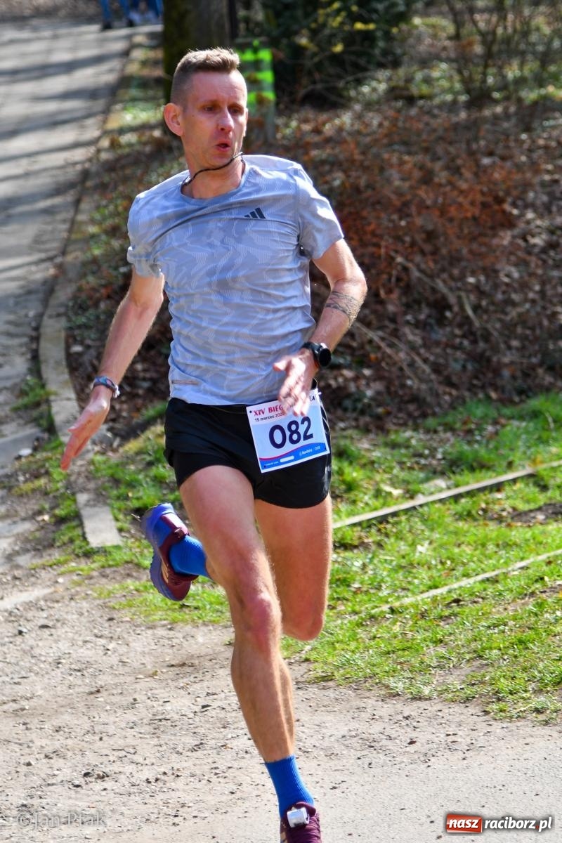 Zdjęcie w galerii na portalu naszraciborz.pl: Mateusz Wolnik zwycięzcą XIV Biegu Twardziela w Raciborzu wiadomości z regionu