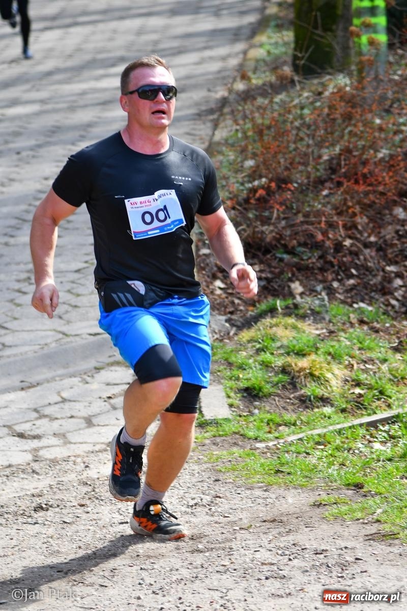 Zdjęcie w galerii na portalu naszraciborz.pl: Mateusz Wolnik zwycięzcą XIV Biegu Twardziela w Raciborzu wiadomości z regionu