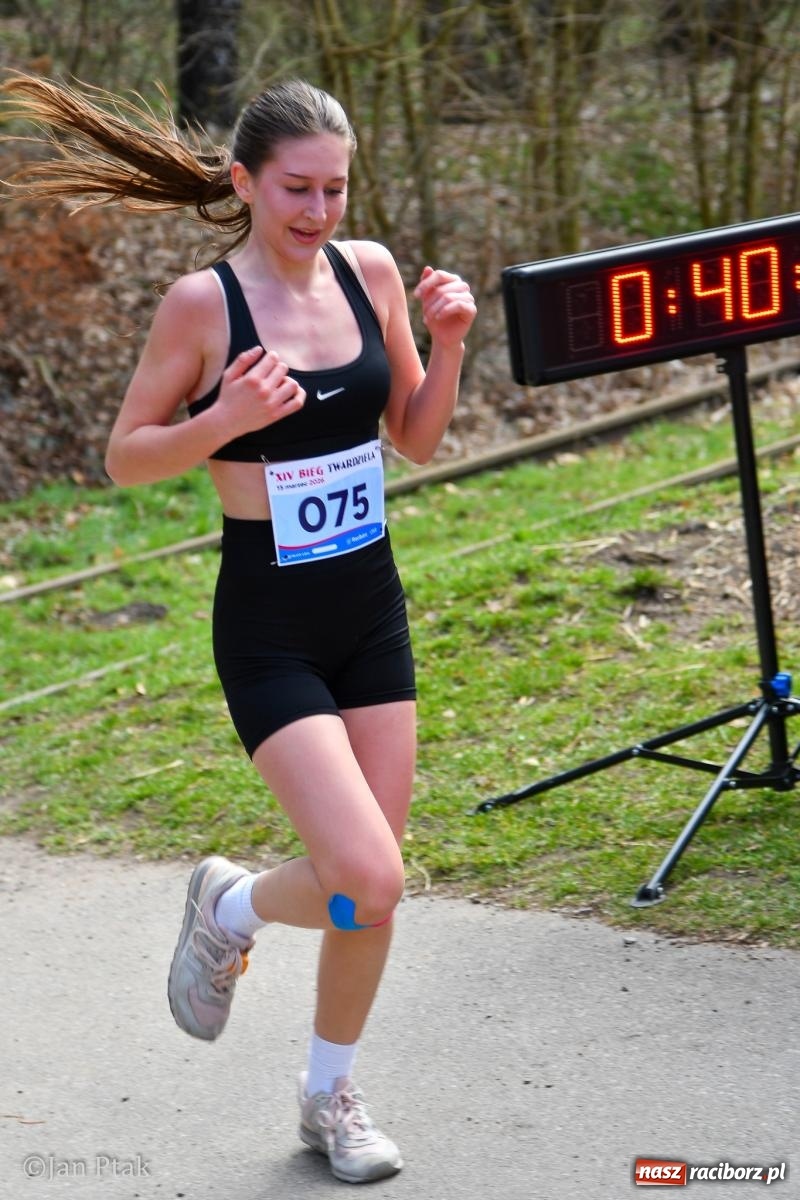 Zdjęcie w galerii na portalu naszraciborz.pl: Mateusz Wolnik zwycięzcą XIV Biegu Twardziela w Raciborzu wiadomości z regionu