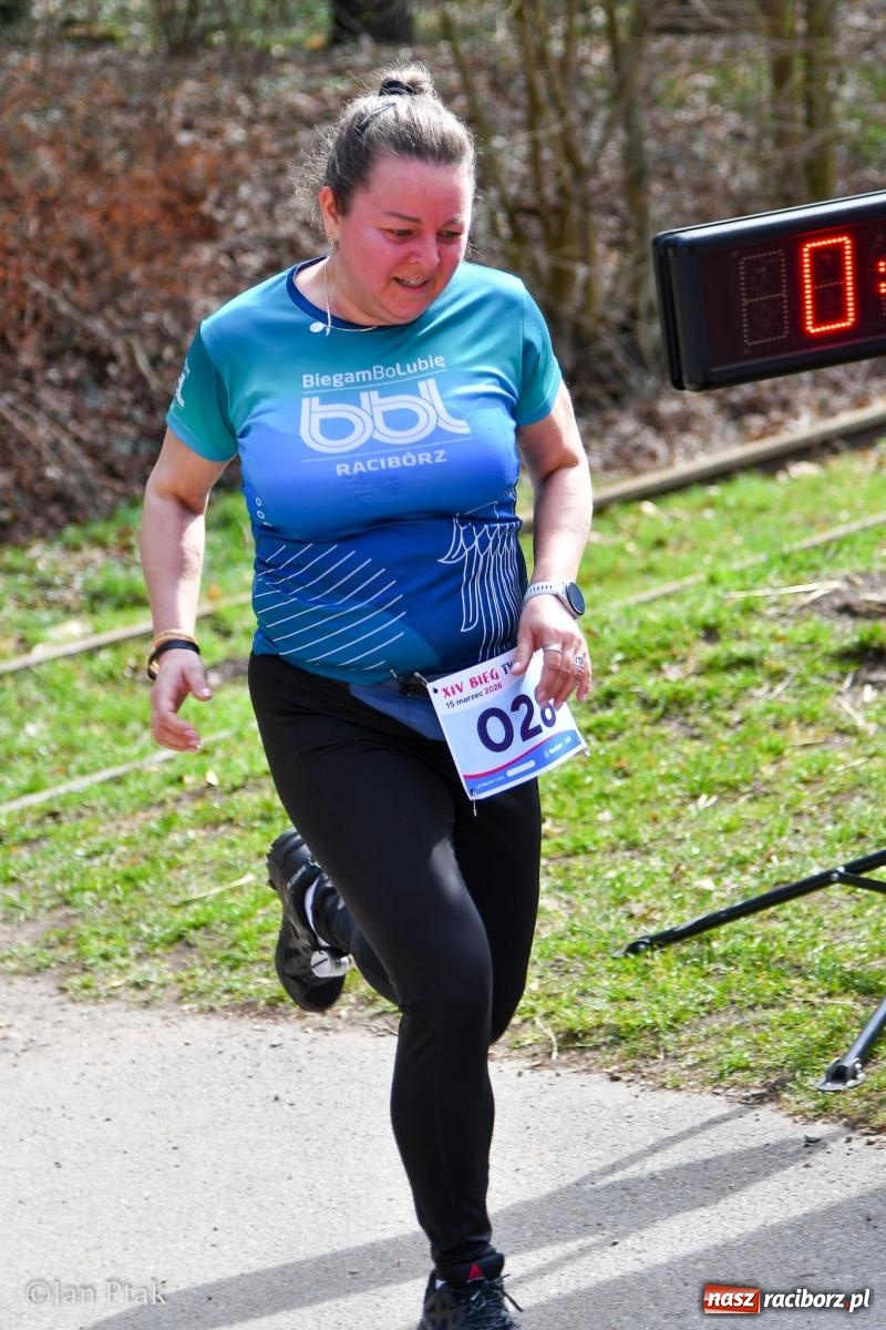 Zdjęcie w galerii na portalu naszraciborz.pl: Mateusz Wolnik zwycięzcą XIV Biegu Twardziela w Raciborzu wiadomości z regionu