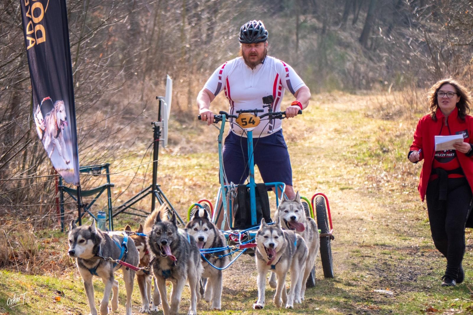 Zdjęcie w galerii na portalu naszraciborz.pl: Międzynarodowe wyścigi psich zaprzęgów w Kuźni Raciborskiej. Emocjonujący weekend Dog Adventure Sprint Race wiadomości z regionu