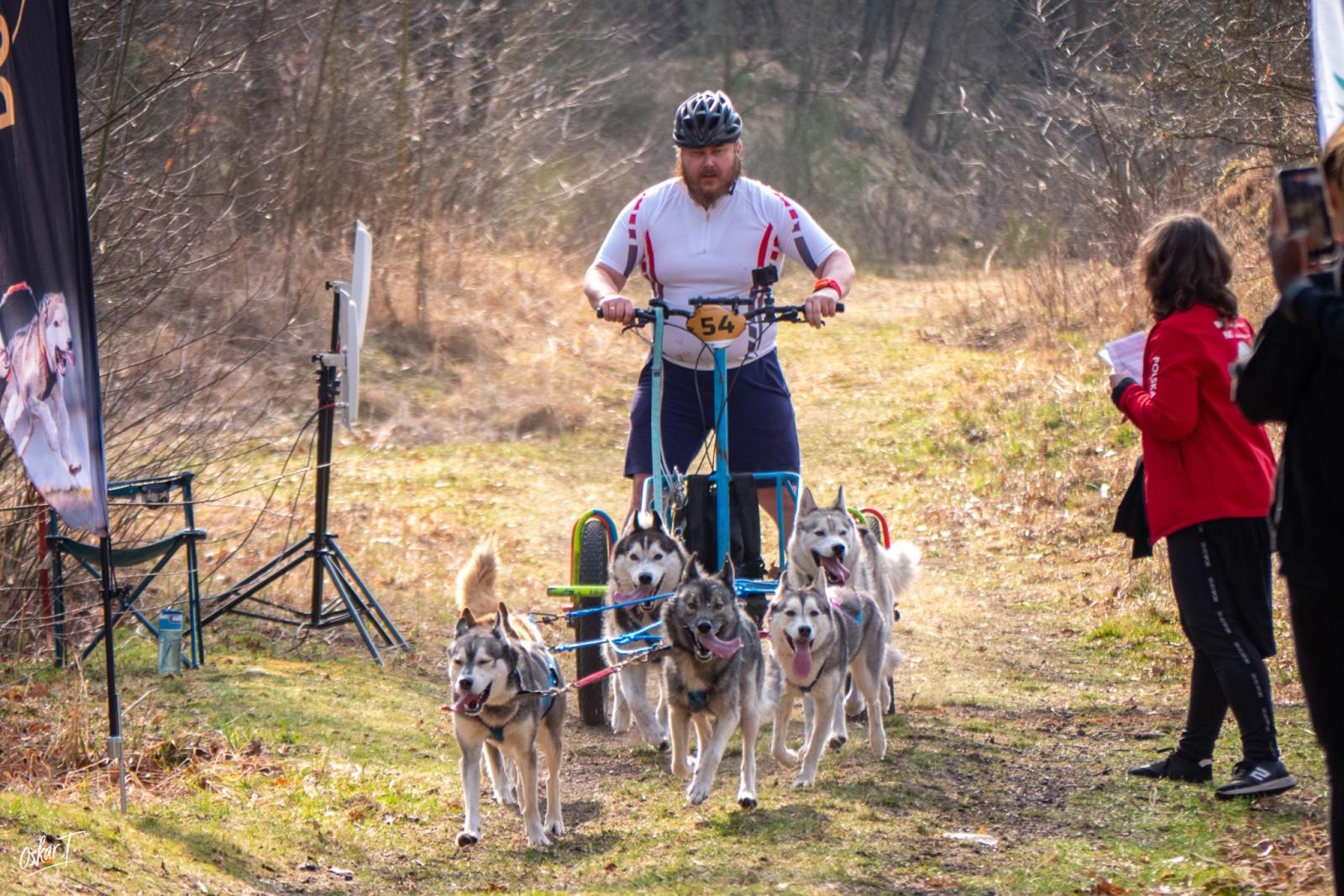 Zdjęcie w galerii na portalu naszraciborz.pl: Międzynarodowe wyścigi psich zaprzęgów w Kuźni Raciborskiej. Emocjonujący weekend Dog Adventure Sprint Race wiadomości z regionu