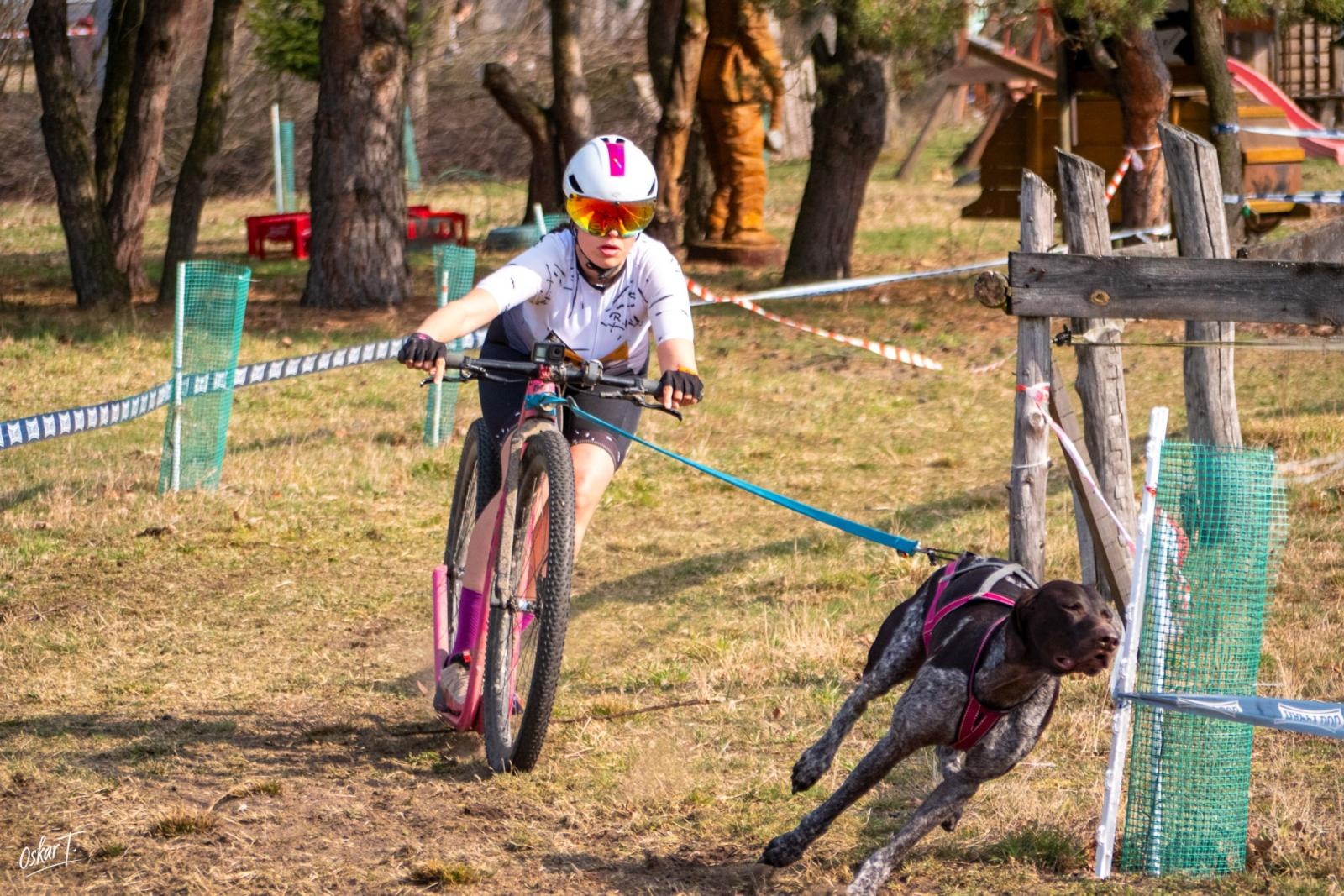 Zdjęcie w galerii na portalu naszraciborz.pl: Międzynarodowe wyścigi psich zaprzęgów w Kuźni Raciborskiej. Emocjonujący weekend Dog Adventure Sprint Race wiadomości z regionu