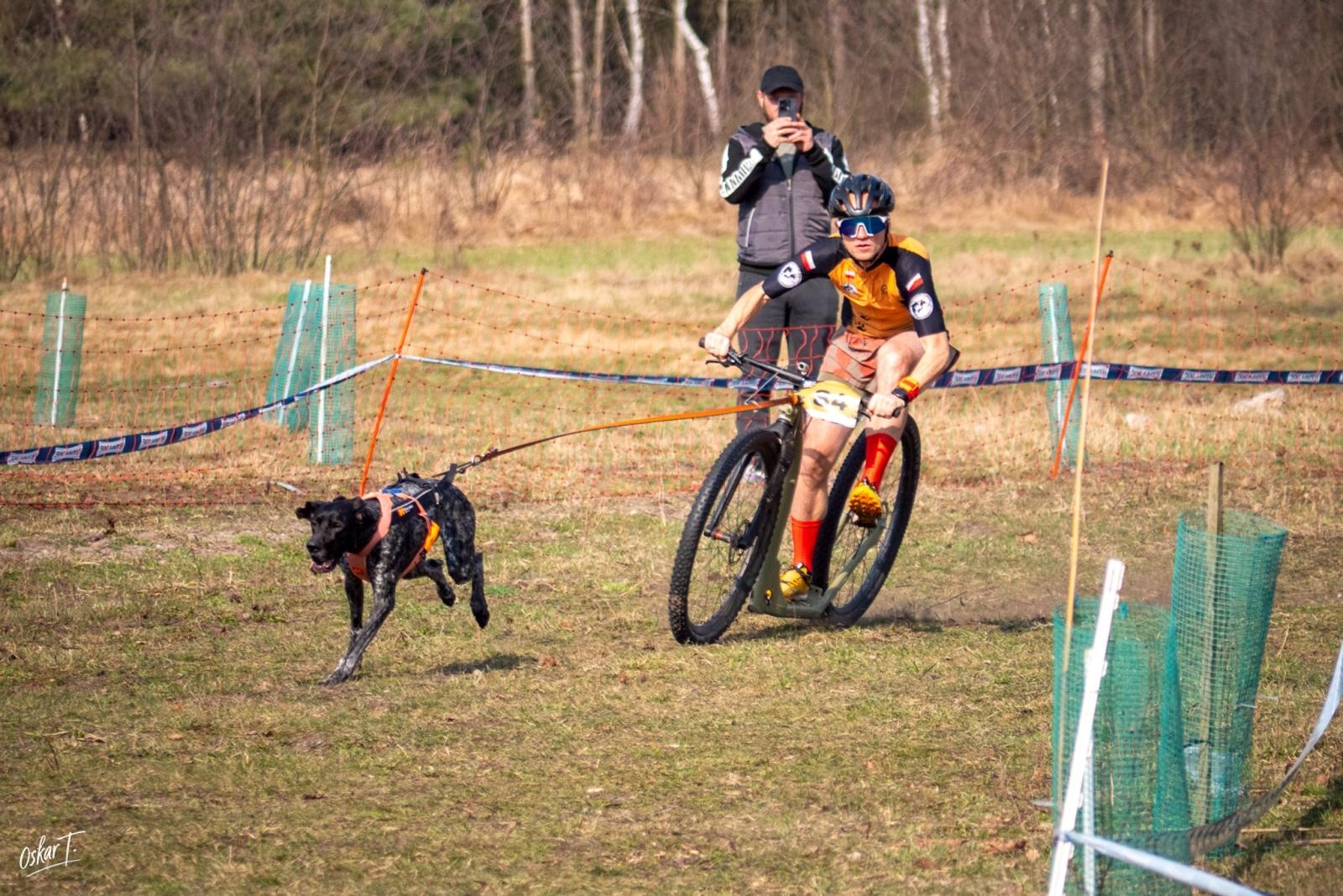 Zdjęcie w galerii na portalu naszraciborz.pl: Międzynarodowe wyścigi psich zaprzęgów w Kuźni Raciborskiej. Emocjonujący weekend Dog Adventure Sprint Race wiadomości z regionu