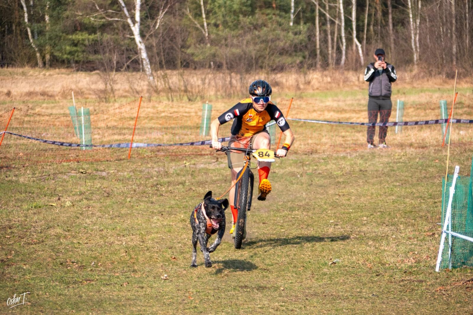 Zdjęcie w galerii na portalu naszraciborz.pl: Międzynarodowe wyścigi psich zaprzęgów w Kuźni Raciborskiej. Emocjonujący weekend Dog Adventure Sprint Race wiadomości z regionu