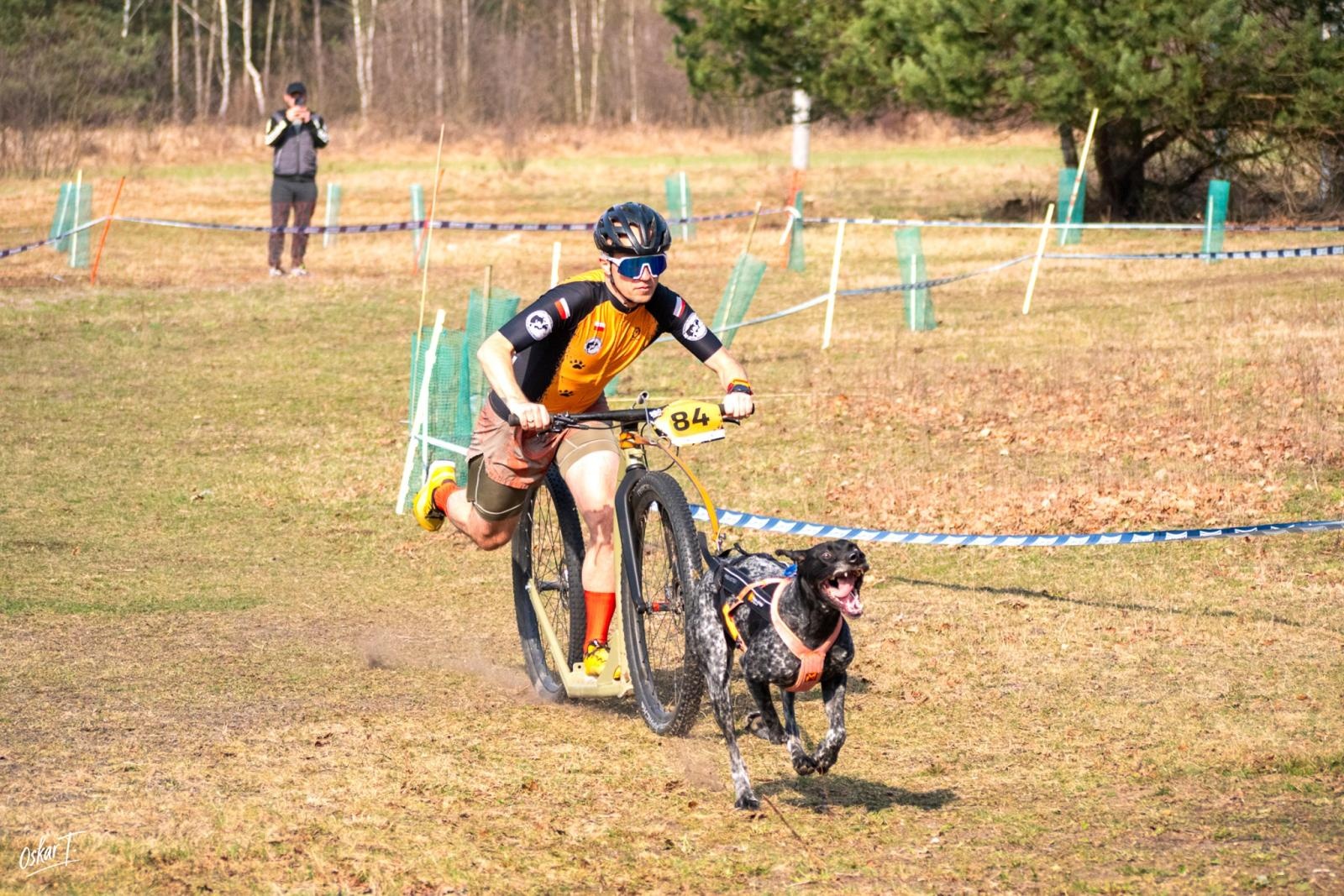 Zdjęcie w galerii na portalu naszraciborz.pl: Międzynarodowe wyścigi psich zaprzęgów w Kuźni Raciborskiej. Emocjonujący weekend Dog Adventure Sprint Race wiadomości z regionu