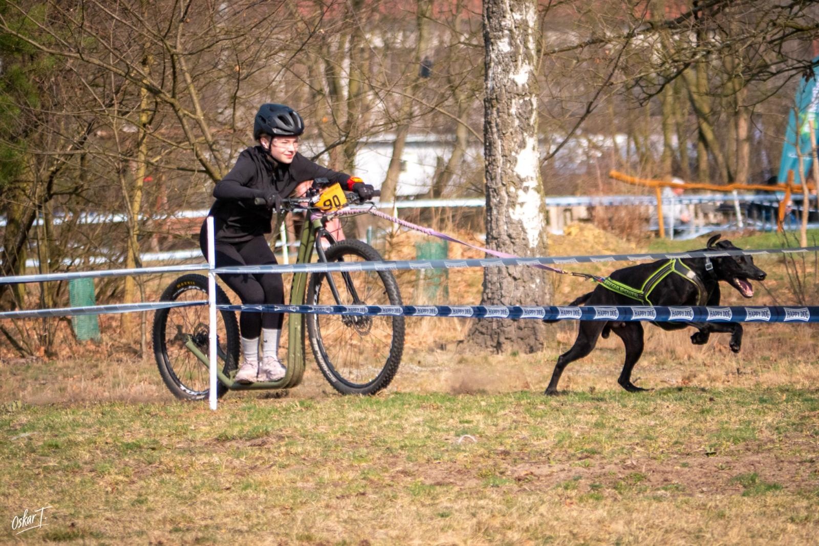 Zdjęcie w galerii na portalu naszraciborz.pl: Międzynarodowe wyścigi psich zaprzęgów w Kuźni Raciborskiej. Emocjonujący weekend Dog Adventure Sprint Race wiadomości z regionu