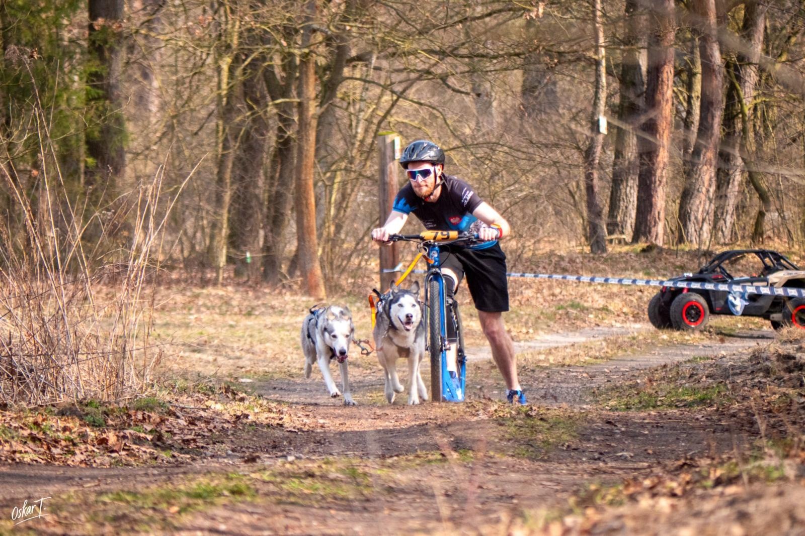 Zdjęcie w galerii na portalu naszraciborz.pl: Międzynarodowe wyścigi psich zaprzęgów w Kuźni Raciborskiej. Emocjonujący weekend Dog Adventure Sprint Race wiadomości z regionu