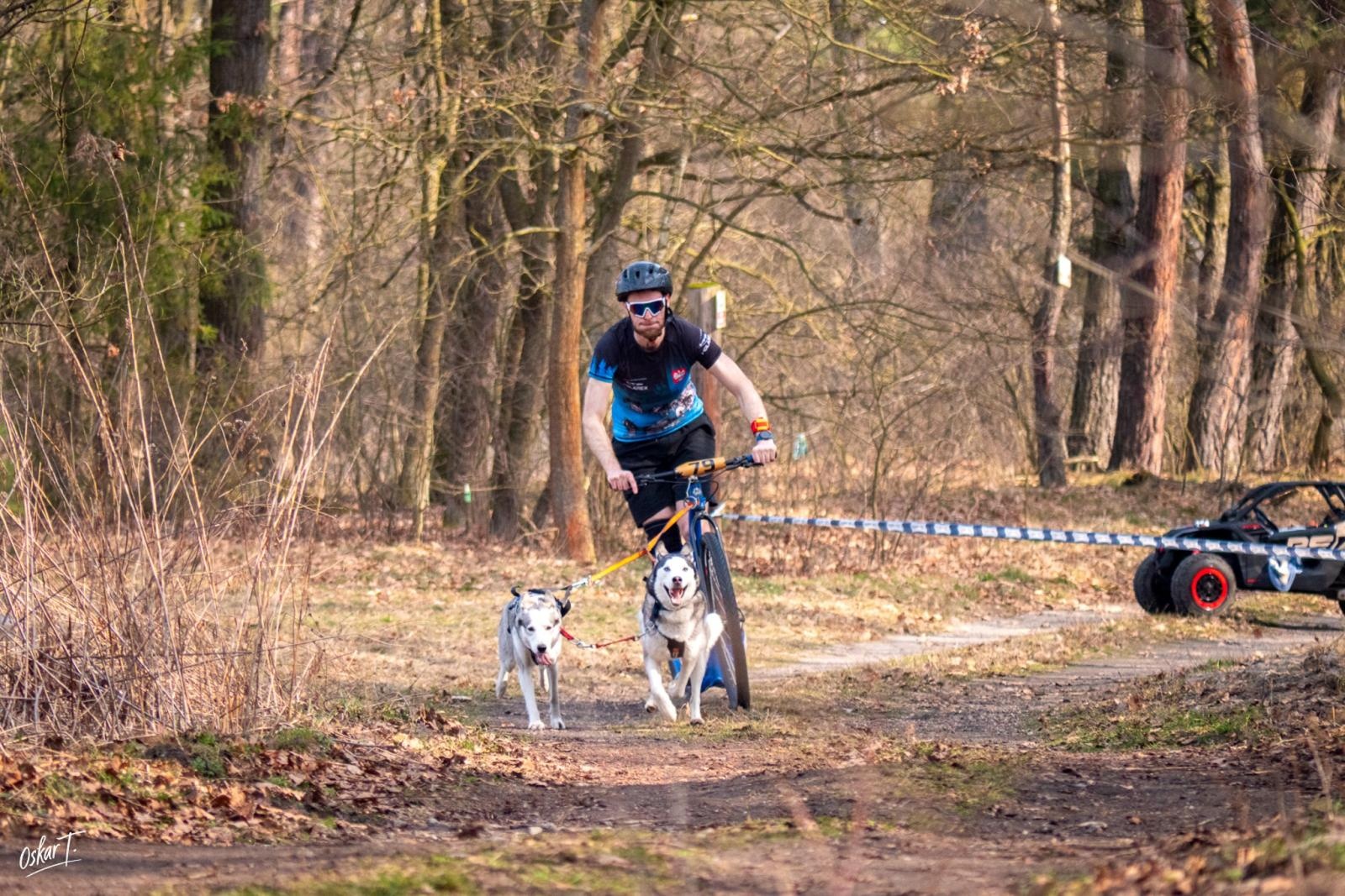 Zdjęcie w galerii na portalu naszraciborz.pl: Międzynarodowe wyścigi psich zaprzęgów w Kuźni Raciborskiej. Emocjonujący weekend Dog Adventure Sprint Race wiadomości z regionu