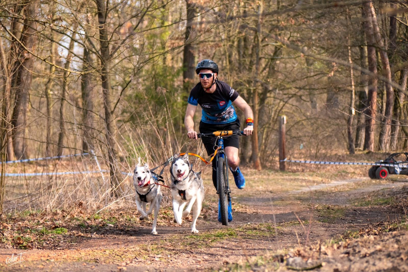 Zdjęcie w galerii na portalu naszraciborz.pl: Międzynarodowe wyścigi psich zaprzęgów w Kuźni Raciborskiej. Emocjonujący weekend Dog Adventure Sprint Race wiadomości z regionu