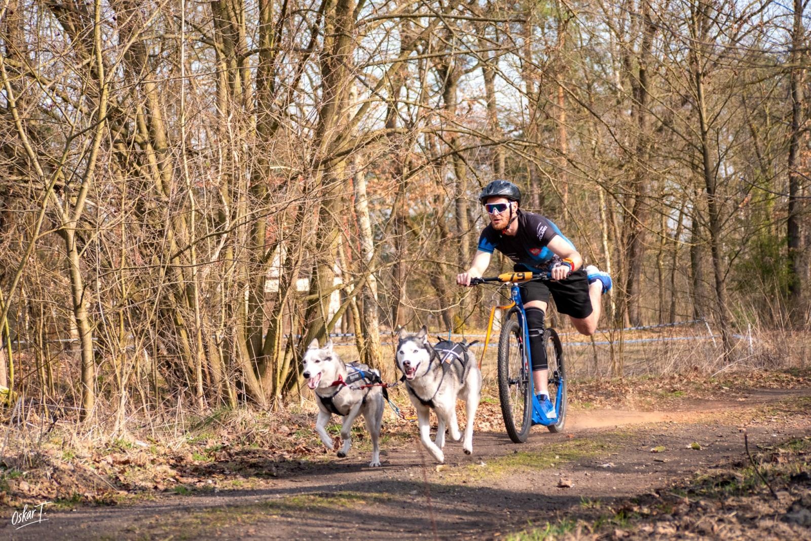 Zdjęcie w galerii na portalu naszraciborz.pl: Międzynarodowe wyścigi psich zaprzęgów w Kuźni Raciborskiej. Emocjonujący weekend Dog Adventure Sprint Race wiadomości z regionu