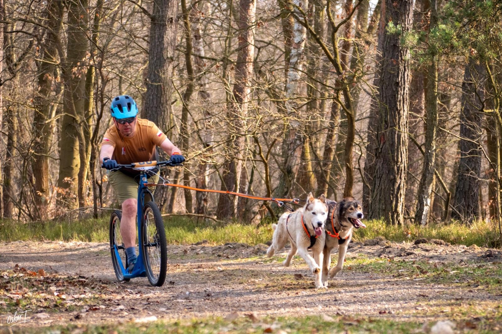 Zdjęcie w galerii na portalu naszraciborz.pl: Międzynarodowe wyścigi psich zaprzęgów w Kuźni Raciborskiej. Emocjonujący weekend Dog Adventure Sprint Race wiadomości z regionu