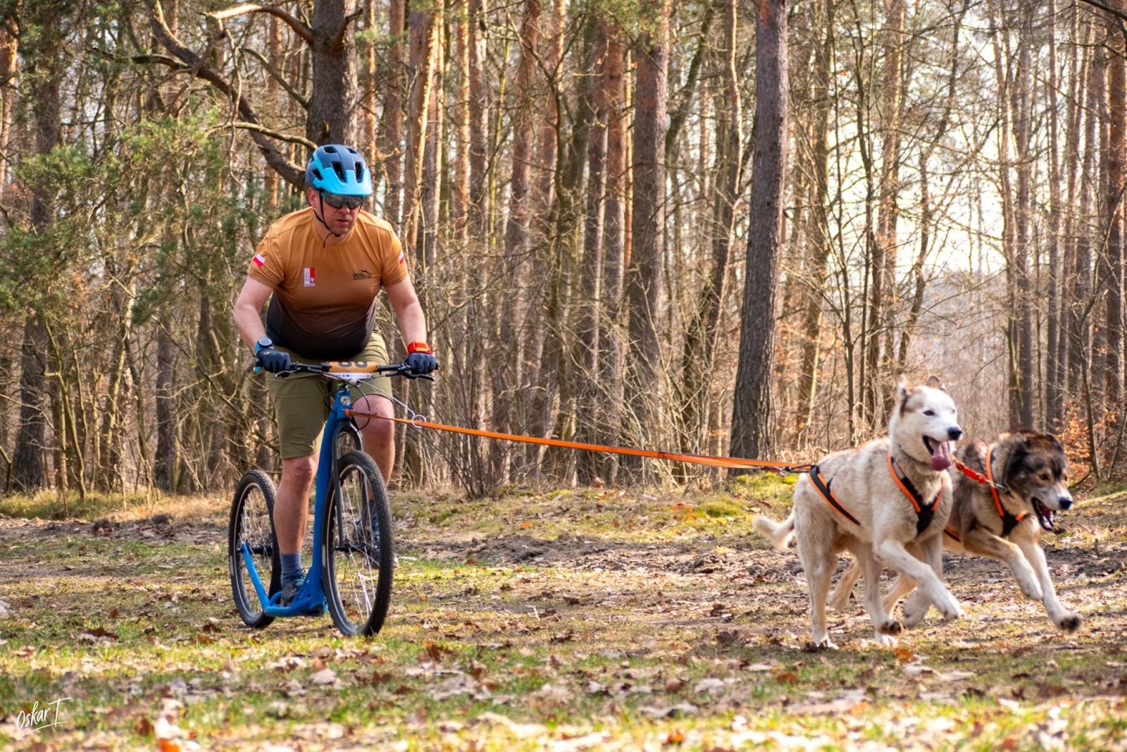 Zdjęcie w galerii na portalu naszraciborz.pl: Międzynarodowe wyścigi psich zaprzęgów w Kuźni Raciborskiej. Emocjonujący weekend Dog Adventure Sprint Race wiadomości z regionu