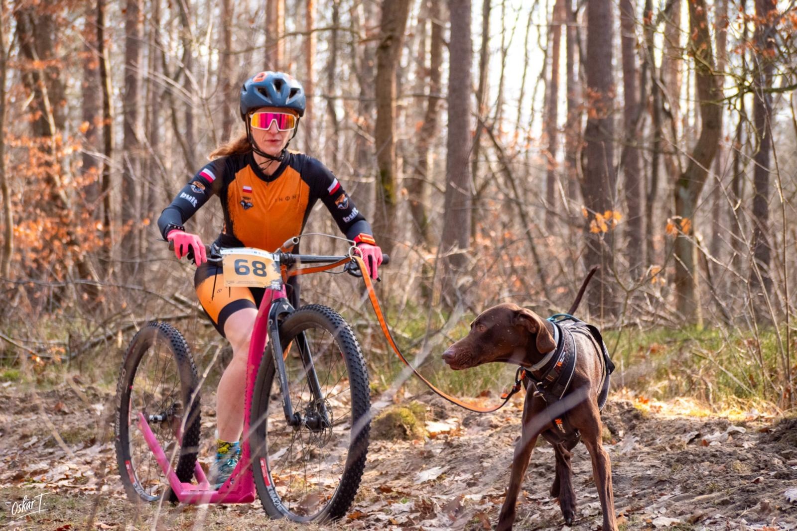 Zdjęcie w galerii na portalu naszraciborz.pl: Międzynarodowe wyścigi psich zaprzęgów w Kuźni Raciborskiej. Emocjonujący weekend Dog Adventure Sprint Race wiadomości z regionu