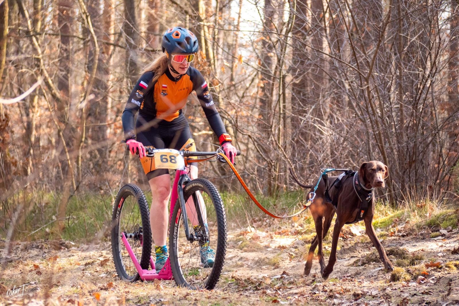 Zdjęcie w galerii na portalu naszraciborz.pl: Międzynarodowe wyścigi psich zaprzęgów w Kuźni Raciborskiej. Emocjonujący weekend Dog Adventure Sprint Race wiadomości z regionu