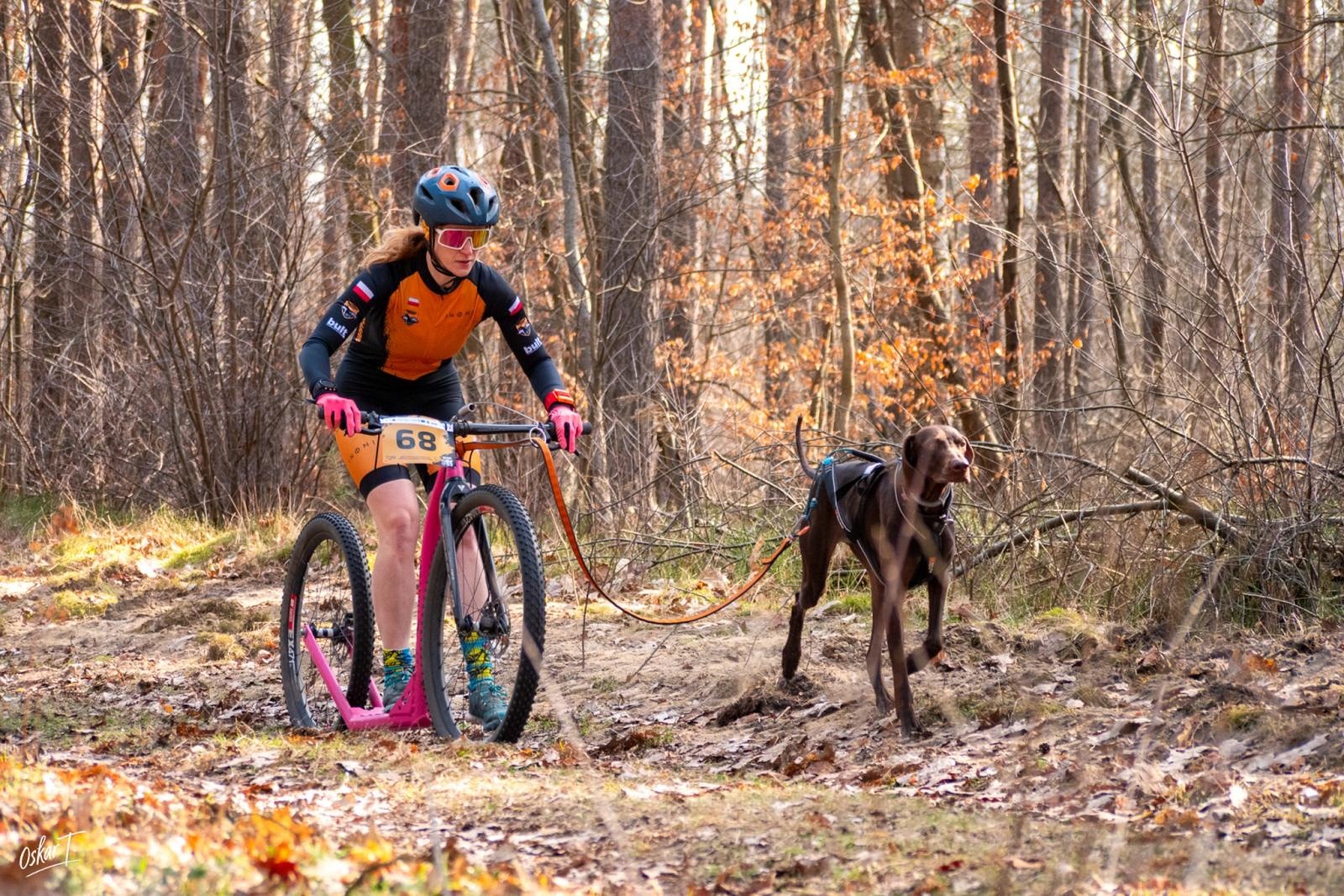 Zdjęcie w galerii na portalu naszraciborz.pl: Międzynarodowe wyścigi psich zaprzęgów w Kuźni Raciborskiej. Emocjonujący weekend Dog Adventure Sprint Race wiadomości z regionu