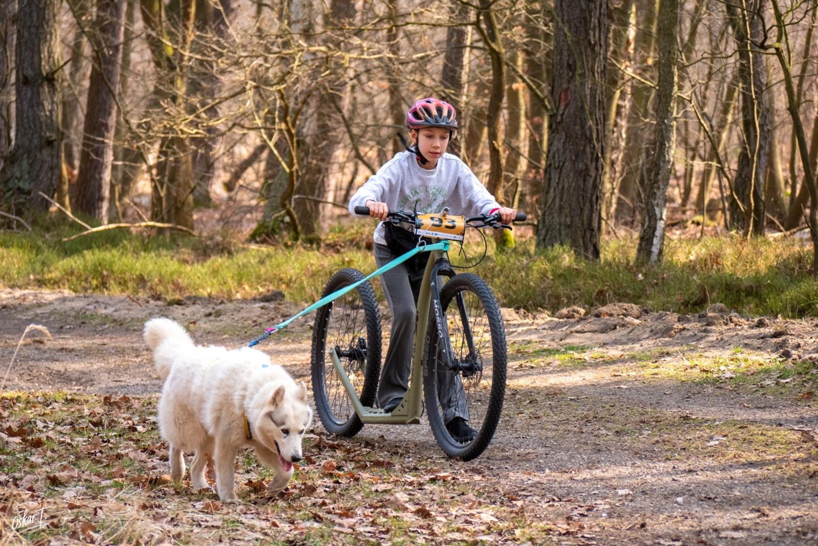 Zdjęcie w galerii na portalu naszraciborz.pl: Międzynarodowe wyścigi psich zaprzęgów w Kuźni Raciborskiej. Emocjonujący weekend Dog Adventure Sprint Race wiadomości z regionu