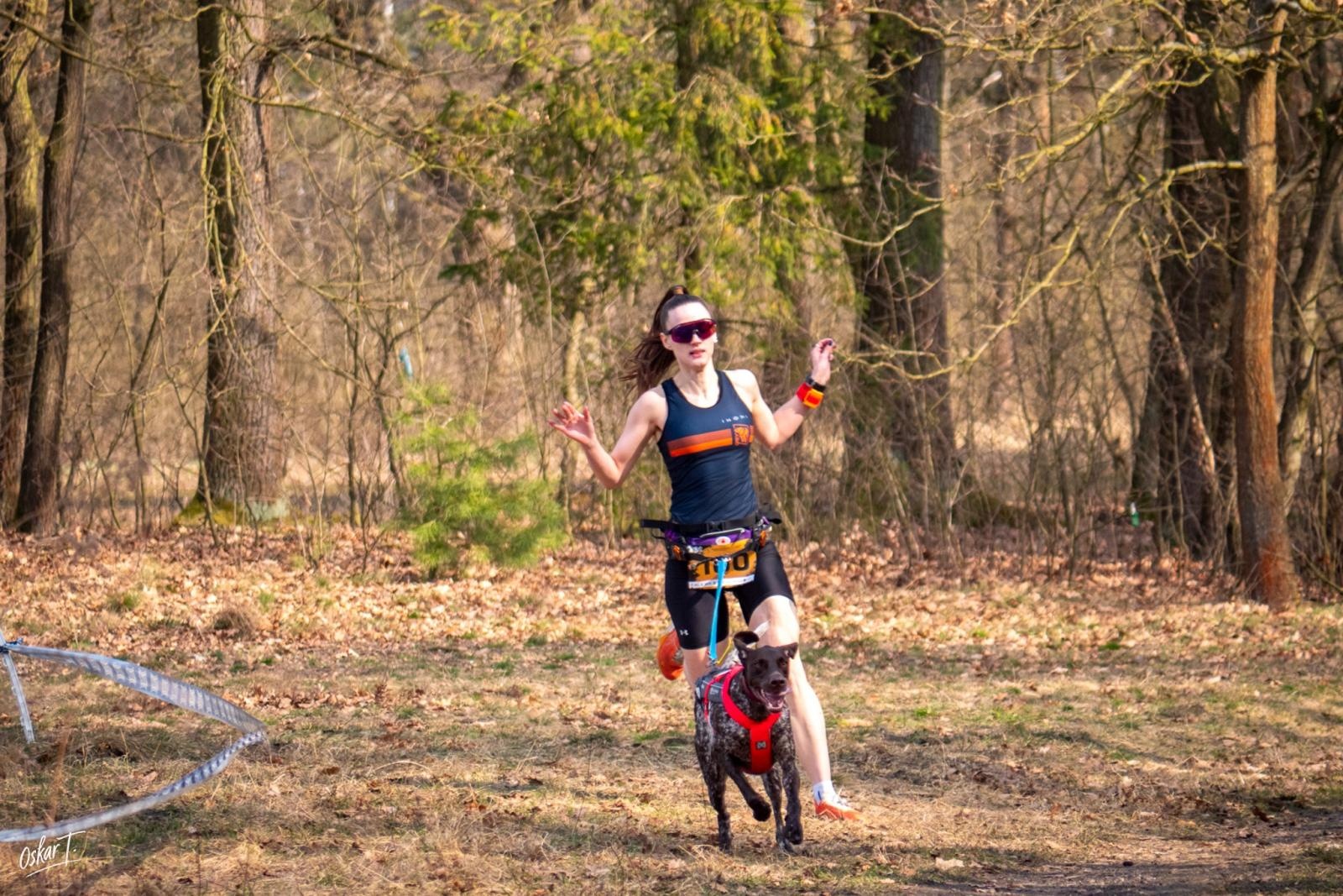 Zdjęcie w galerii na portalu naszraciborz.pl: Międzynarodowe wyścigi psich zaprzęgów w Kuźni Raciborskiej. Emocjonujący weekend Dog Adventure Sprint Race wiadomości z regionu