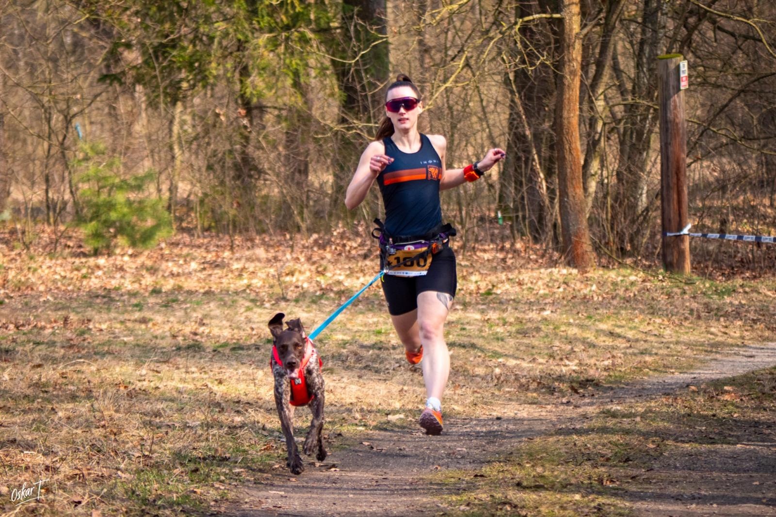 Zdjęcie w galerii na portalu naszraciborz.pl: Międzynarodowe wyścigi psich zaprzęgów w Kuźni Raciborskiej. Emocjonujący weekend Dog Adventure Sprint Race wiadomości z regionu