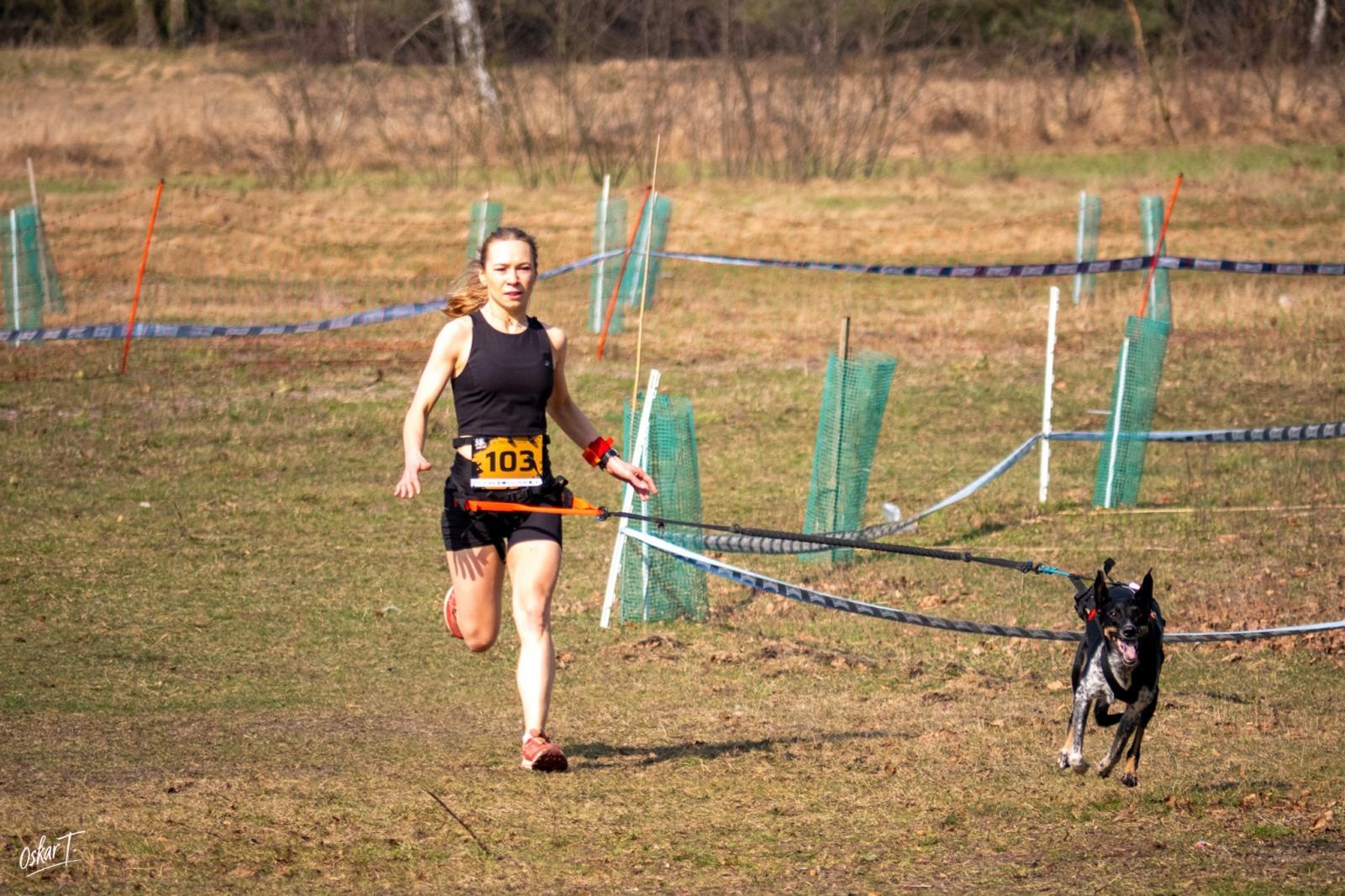 Zdjęcie w galerii na portalu naszraciborz.pl: Międzynarodowe wyścigi psich zaprzęgów w Kuźni Raciborskiej. Emocjonujący weekend Dog Adventure Sprint Race wiadomości z regionu