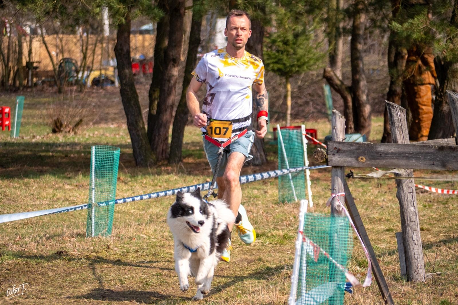 Zdjęcie w galerii na portalu naszraciborz.pl: Międzynarodowe wyścigi psich zaprzęgów w Kuźni Raciborskiej. Emocjonujący weekend Dog Adventure Sprint Race wiadomości z regionu