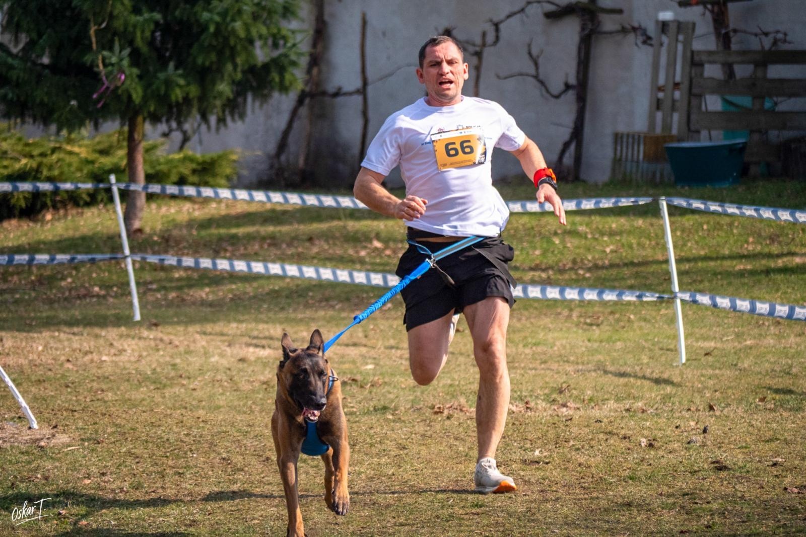 Zdjęcie w galerii na portalu naszraciborz.pl: Międzynarodowe wyścigi psich zaprzęgów w Kuźni Raciborskiej. Emocjonujący weekend Dog Adventure Sprint Race wiadomości z regionu