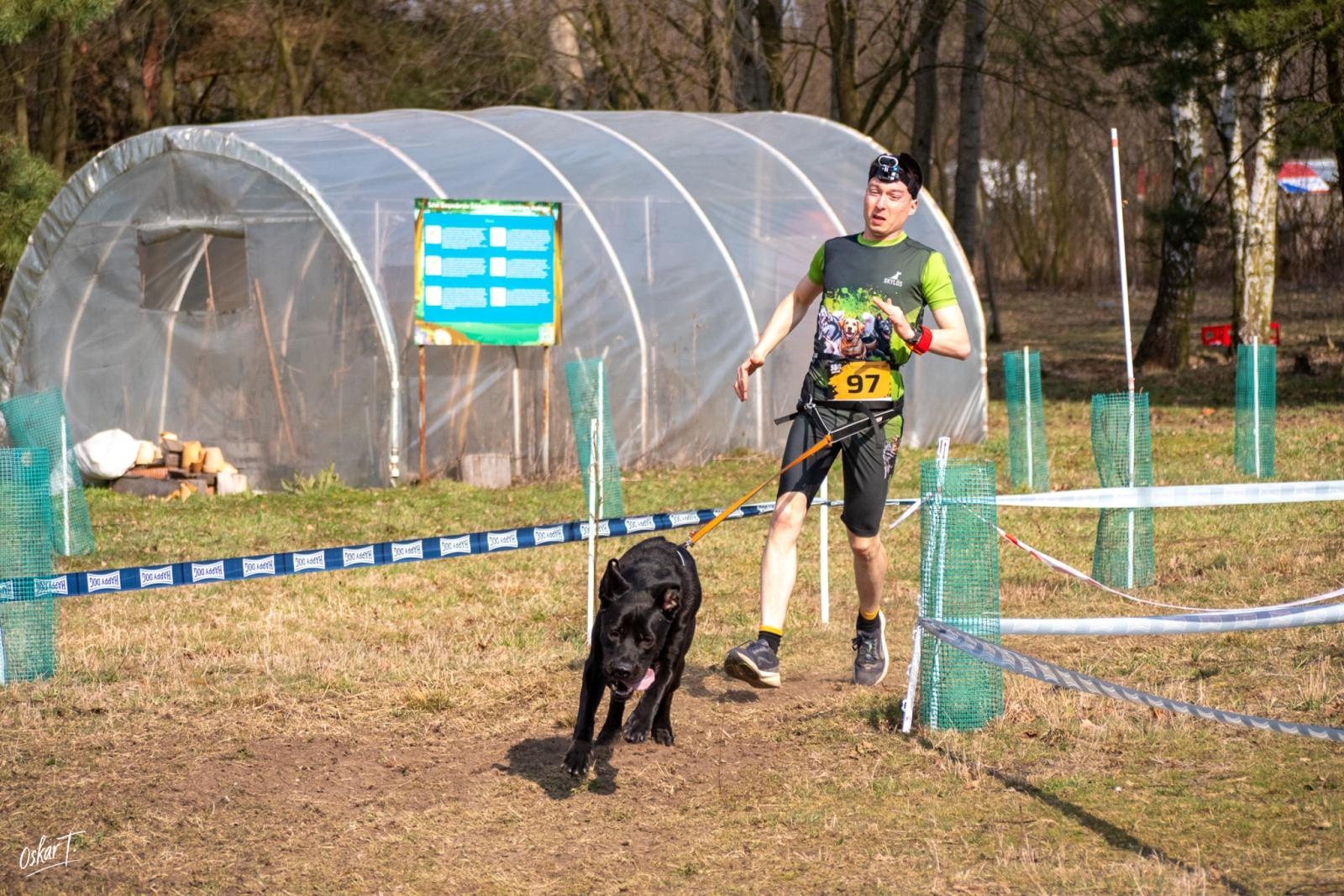 Zdjęcie w galerii na portalu naszraciborz.pl: Międzynarodowe wyścigi psich zaprzęgów w Kuźni Raciborskiej. Emocjonujący weekend Dog Adventure Sprint Race wiadomości z regionu