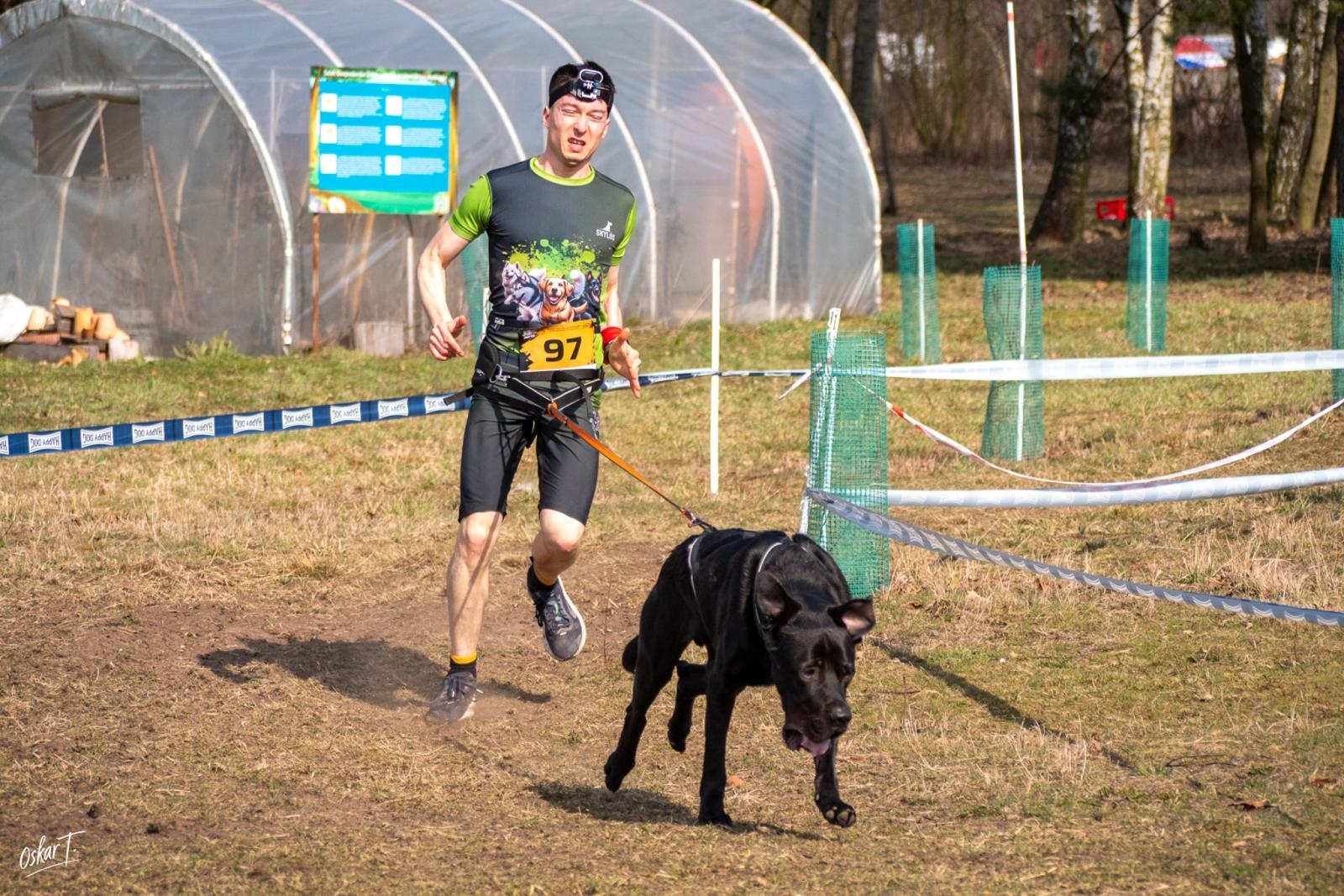 Zdjęcie w galerii na portalu naszraciborz.pl: Międzynarodowe wyścigi psich zaprzęgów w Kuźni Raciborskiej. Emocjonujący weekend Dog Adventure Sprint Race wiadomości z regionu