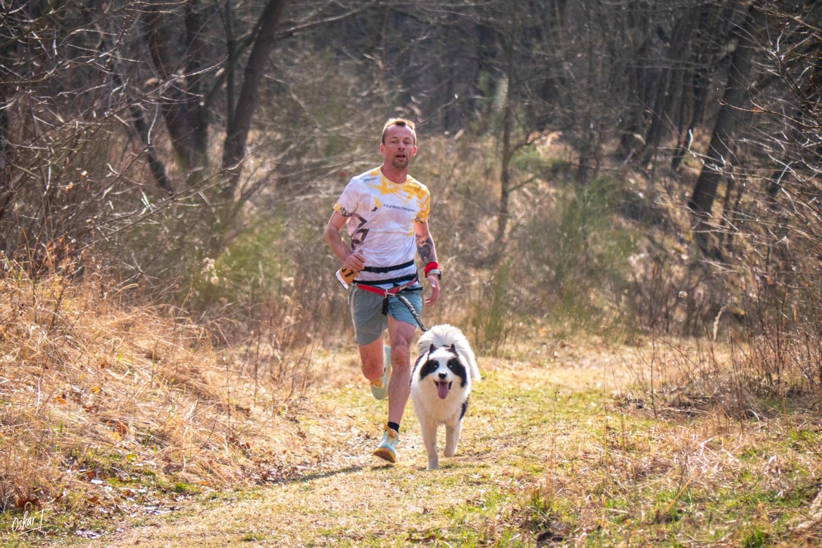 Zdjęcie w galerii na portalu naszraciborz.pl: Międzynarodowe wyścigi psich zaprzęgów w Kuźni Raciborskiej. Emocjonujący weekend Dog Adventure Sprint Race wiadomości z regionu