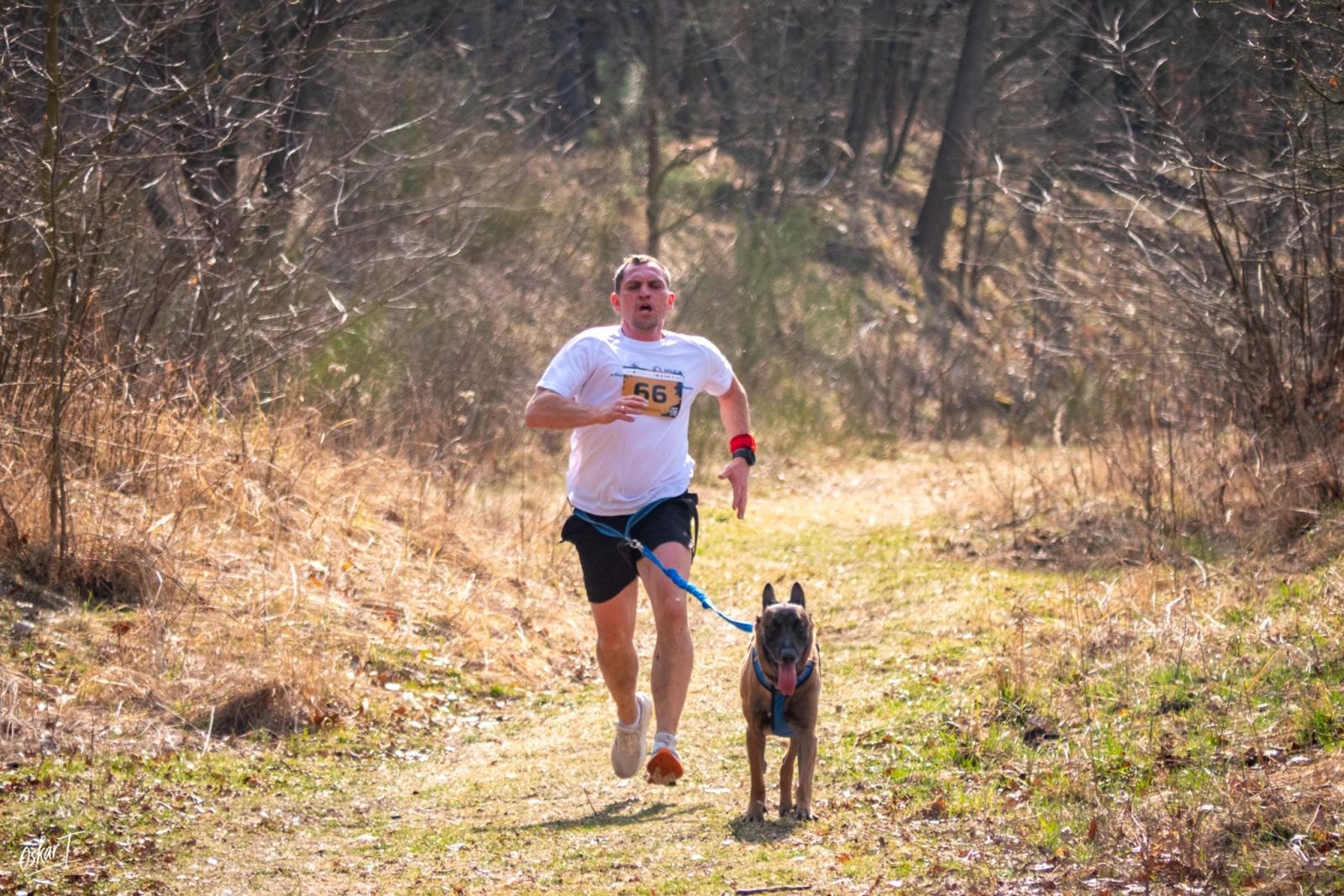 Zdjęcie w galerii na portalu naszraciborz.pl: Międzynarodowe wyścigi psich zaprzęgów w Kuźni Raciborskiej. Emocjonujący weekend Dog Adventure Sprint Race wiadomości z regionu