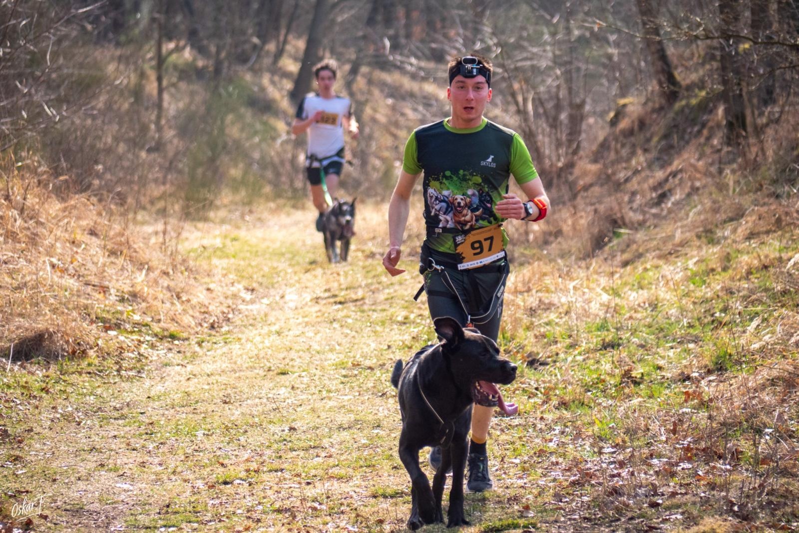 Zdjęcie w galerii na portalu naszraciborz.pl: Międzynarodowe wyścigi psich zaprzęgów w Kuźni Raciborskiej. Emocjonujący weekend Dog Adventure Sprint Race wiadomości z regionu