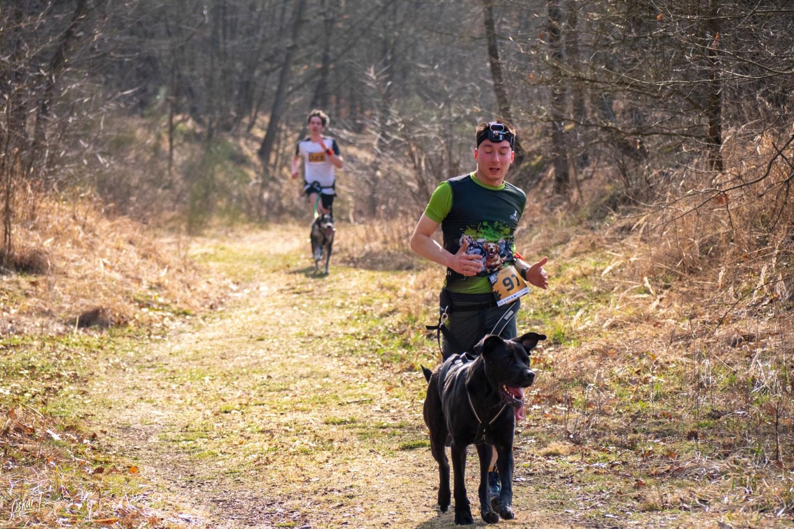 Zdjęcie w galerii na portalu naszraciborz.pl: Międzynarodowe wyścigi psich zaprzęgów w Kuźni Raciborskiej. Emocjonujący weekend Dog Adventure Sprint Race wiadomości z regionu