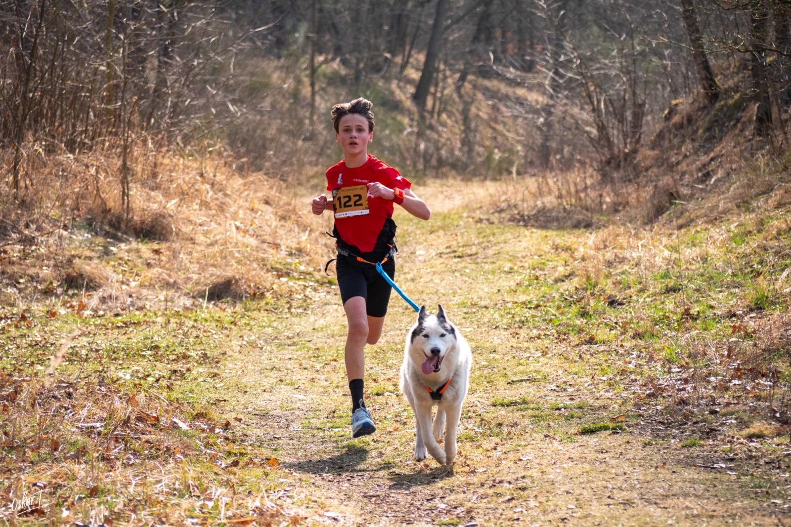 Zdjęcie w galerii na portalu naszraciborz.pl: Międzynarodowe wyścigi psich zaprzęgów w Kuźni Raciborskiej. Emocjonujący weekend Dog Adventure Sprint Race wiadomości z regionu