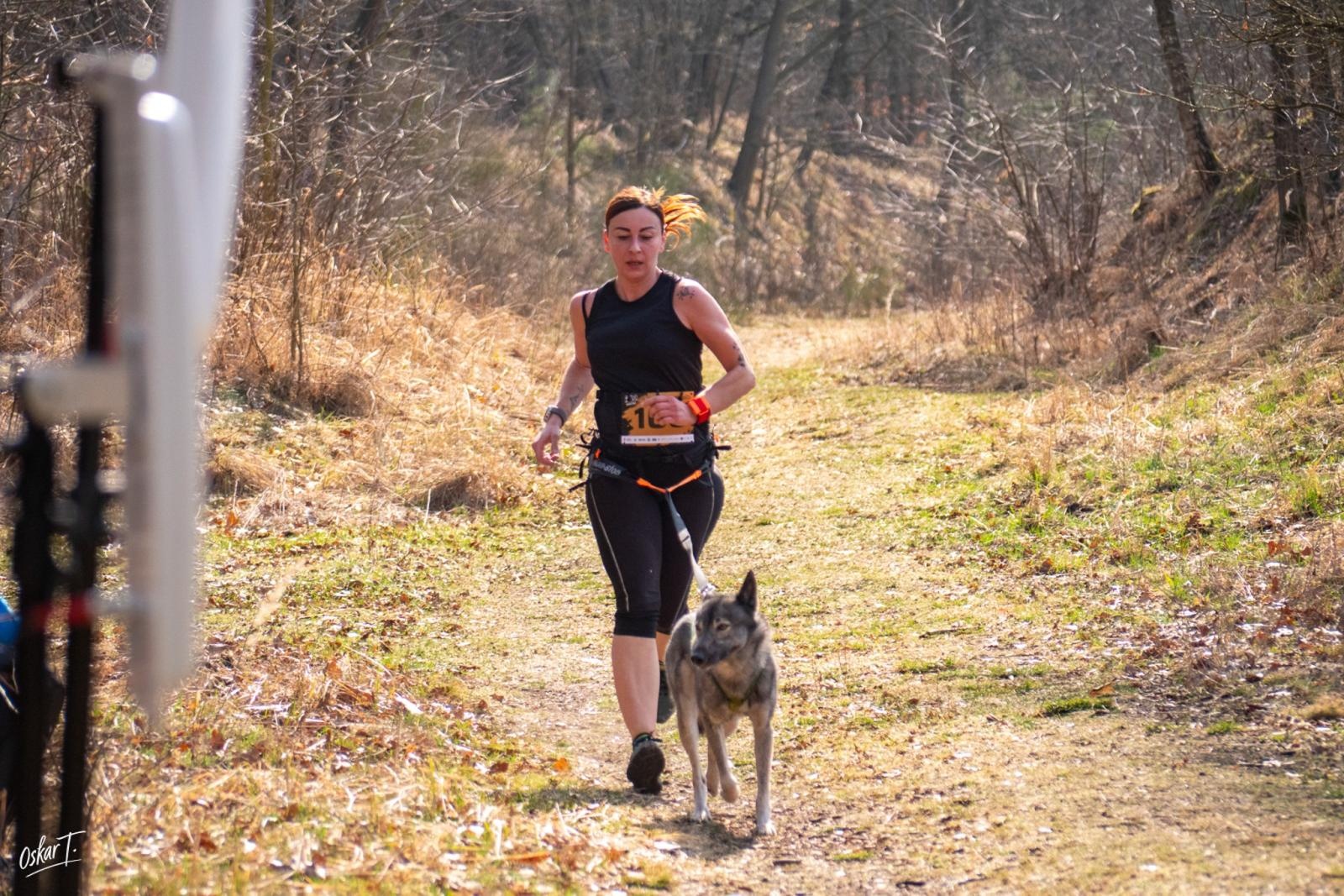 Zdjęcie w galerii na portalu naszraciborz.pl: Międzynarodowe wyścigi psich zaprzęgów w Kuźni Raciborskiej. Emocjonujący weekend Dog Adventure Sprint Race wiadomości z regionu