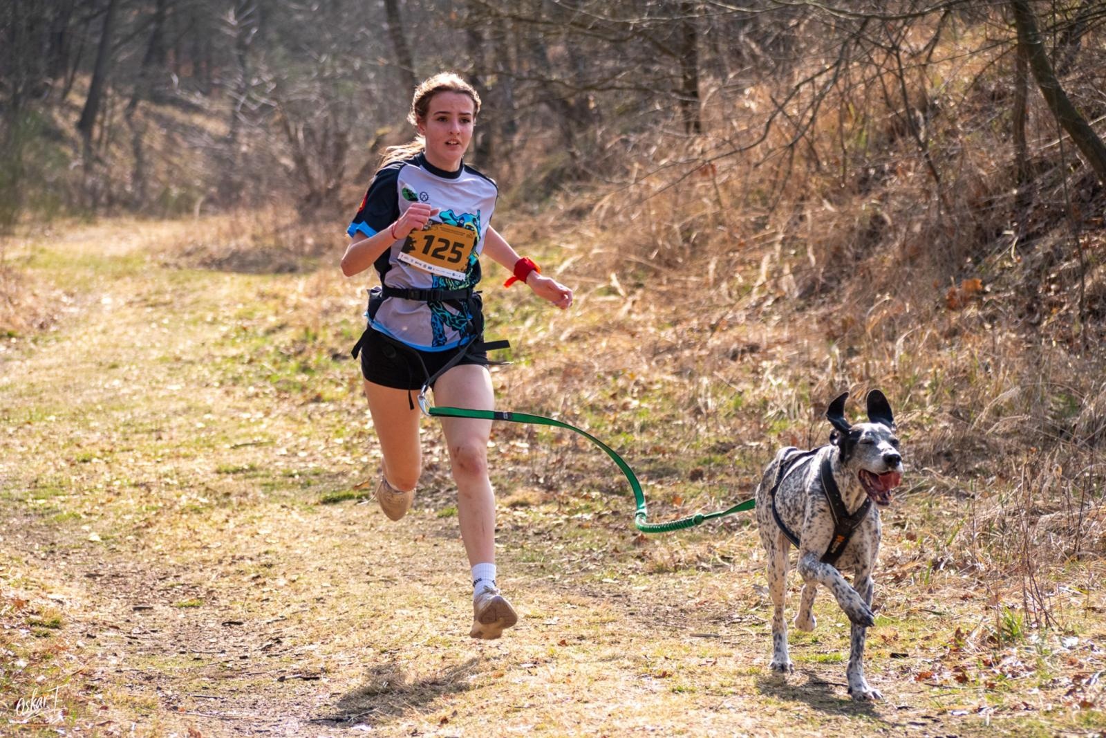Zdjęcie w galerii na portalu naszraciborz.pl: Międzynarodowe wyścigi psich zaprzęgów w Kuźni Raciborskiej. Emocjonujący weekend Dog Adventure Sprint Race wiadomości z regionu