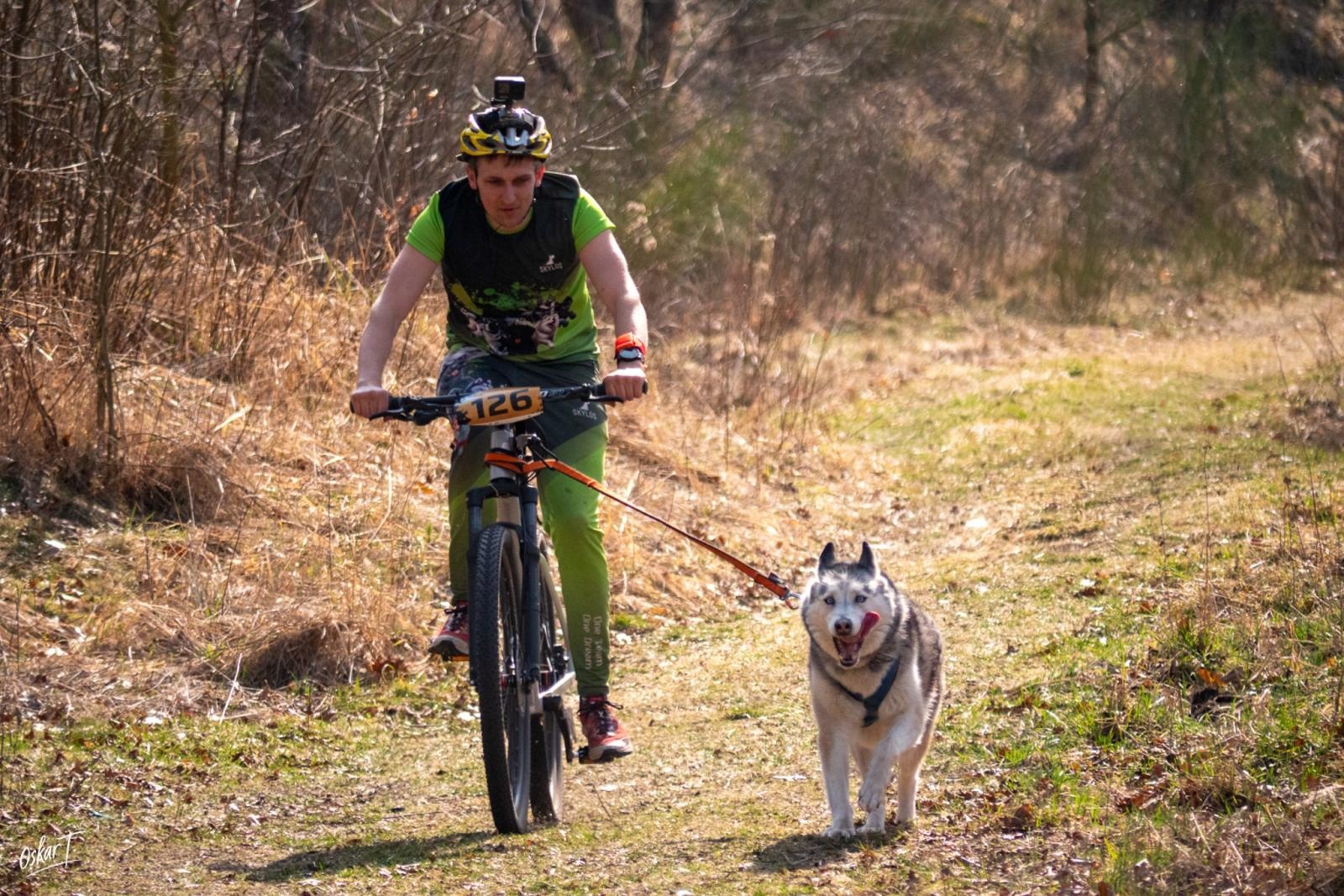 Zdjęcie w galerii na portalu naszraciborz.pl: Międzynarodowe wyścigi psich zaprzęgów w Kuźni Raciborskiej. Emocjonujący weekend Dog Adventure Sprint Race wiadomości z regionu
